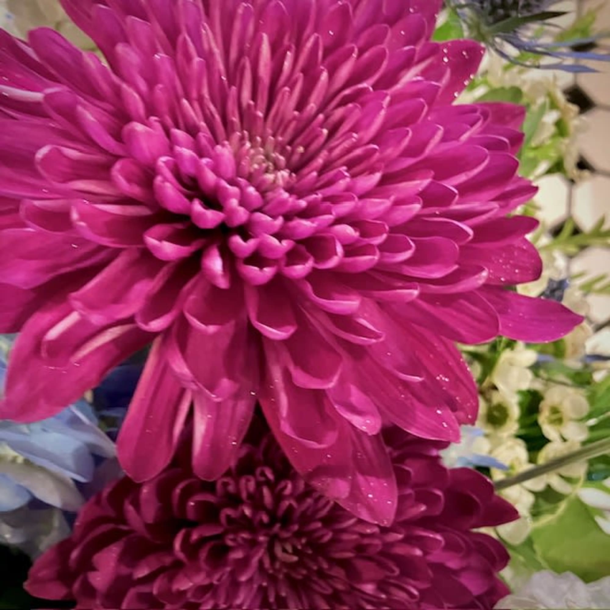 Gift the magical ambiance of Wintertime Frost with this this beautiful and