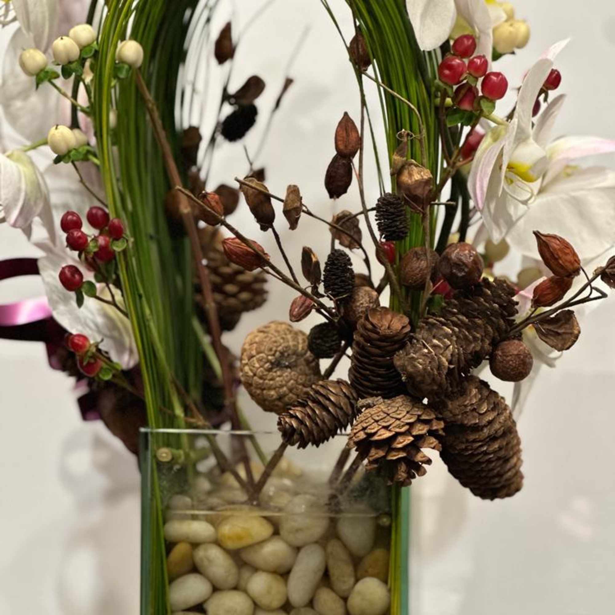 Festive holiday arrangement with long draping White phalaenopsis orchid embraced by Australian