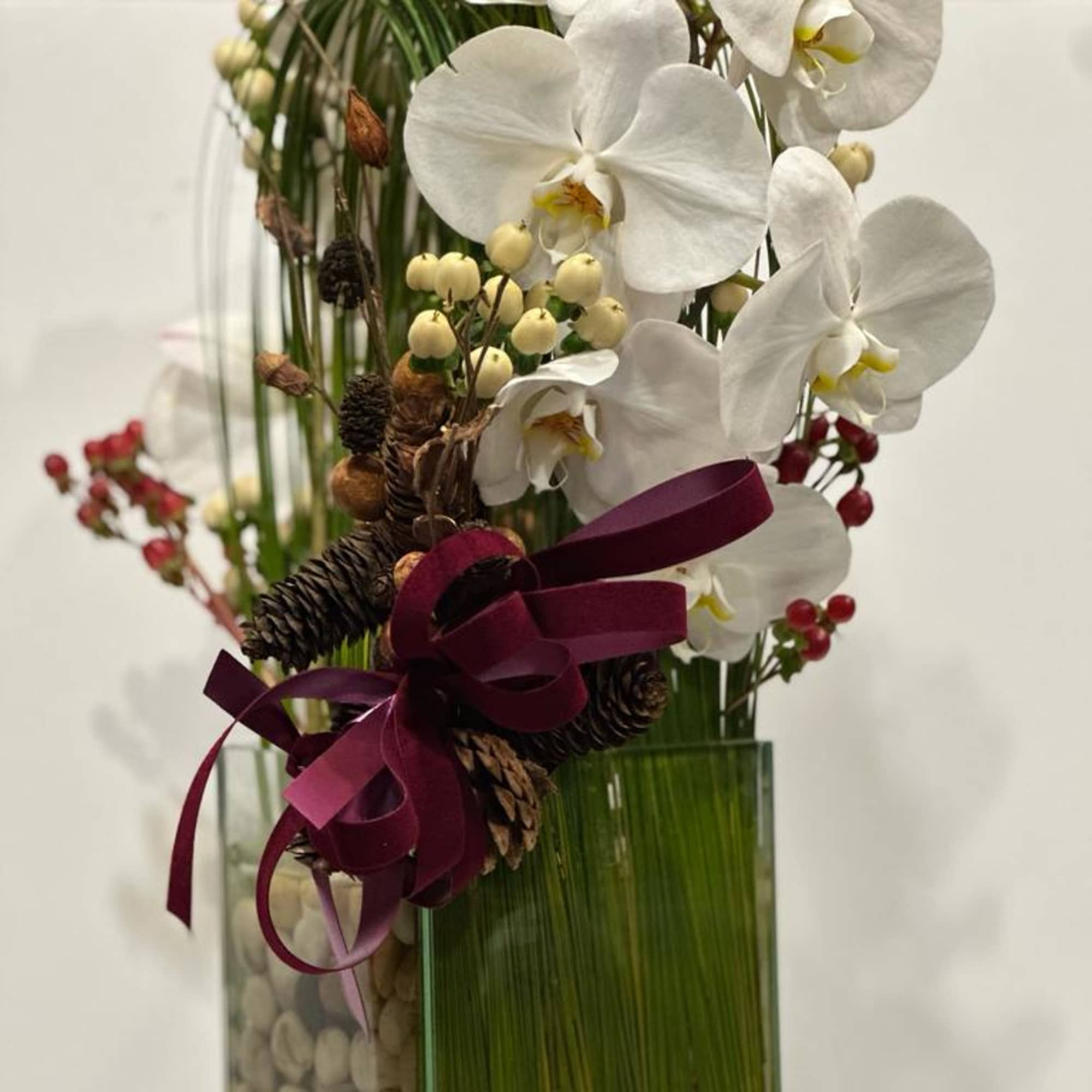 Festive holiday arrangement with long draping White phalaenopsis orchid embraced by Australian