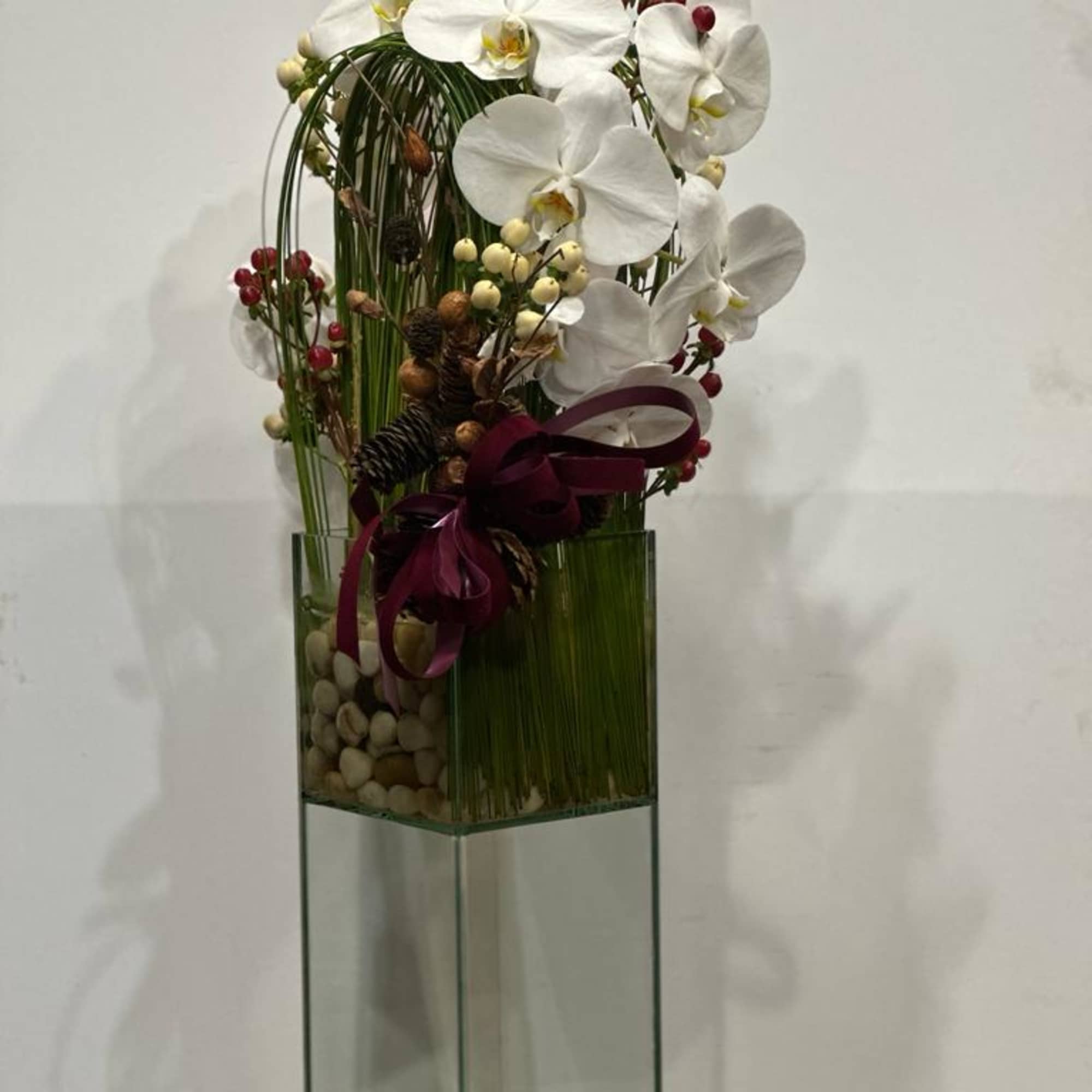 Festive holiday arrangement with long draping White phalaenopsis orchid embraced by Australian