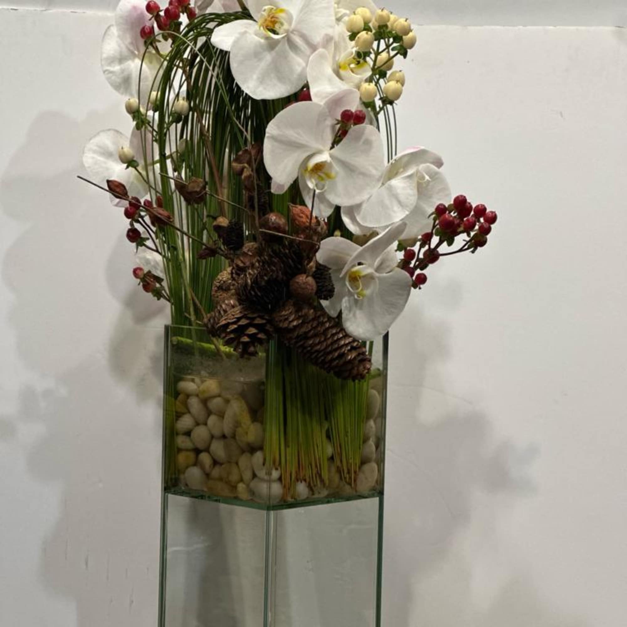 Festive holiday arrangement with long draping White phalaenopsis orchid embraced by Australian