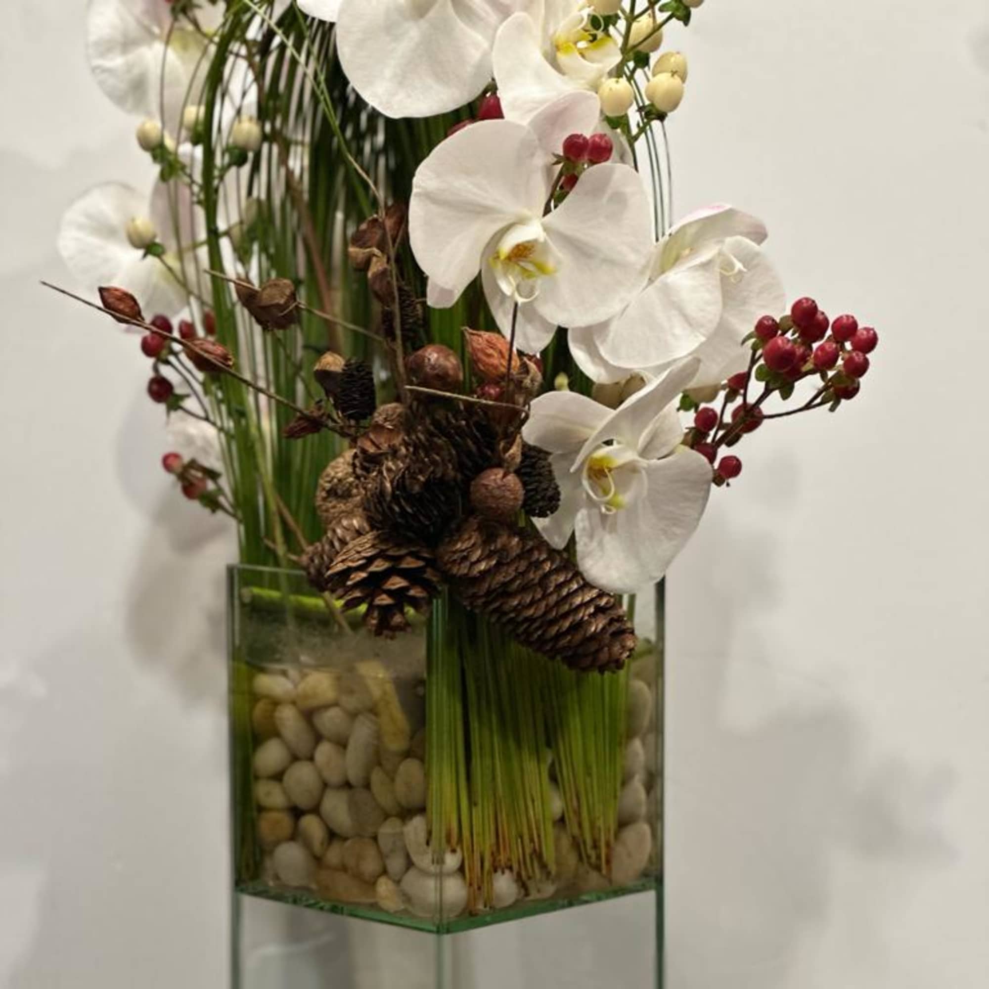 Festive holiday arrangement with long draping White phalaenopsis orchid embraced by Australian