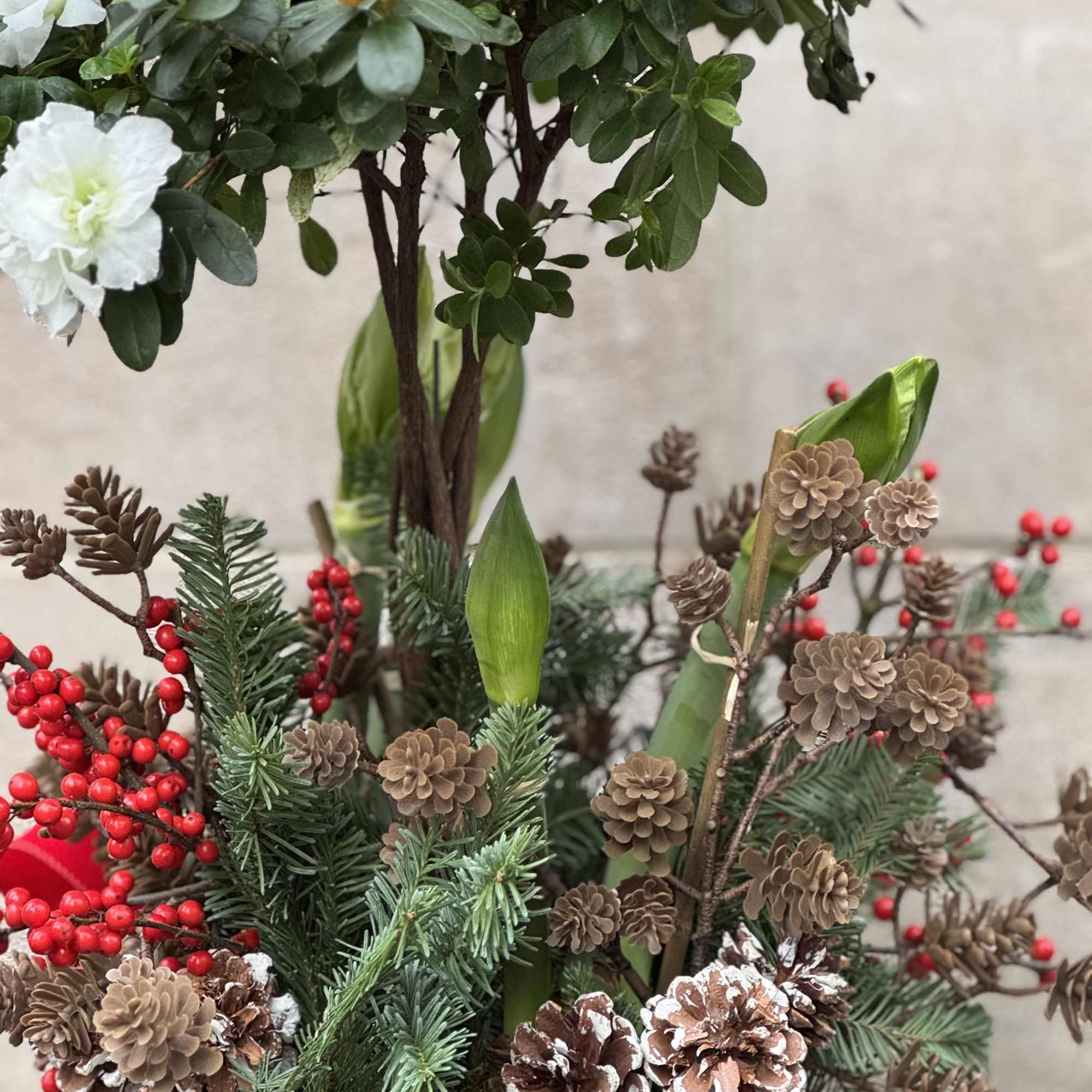 Bring in the holidays and new year with something natural, earthy and