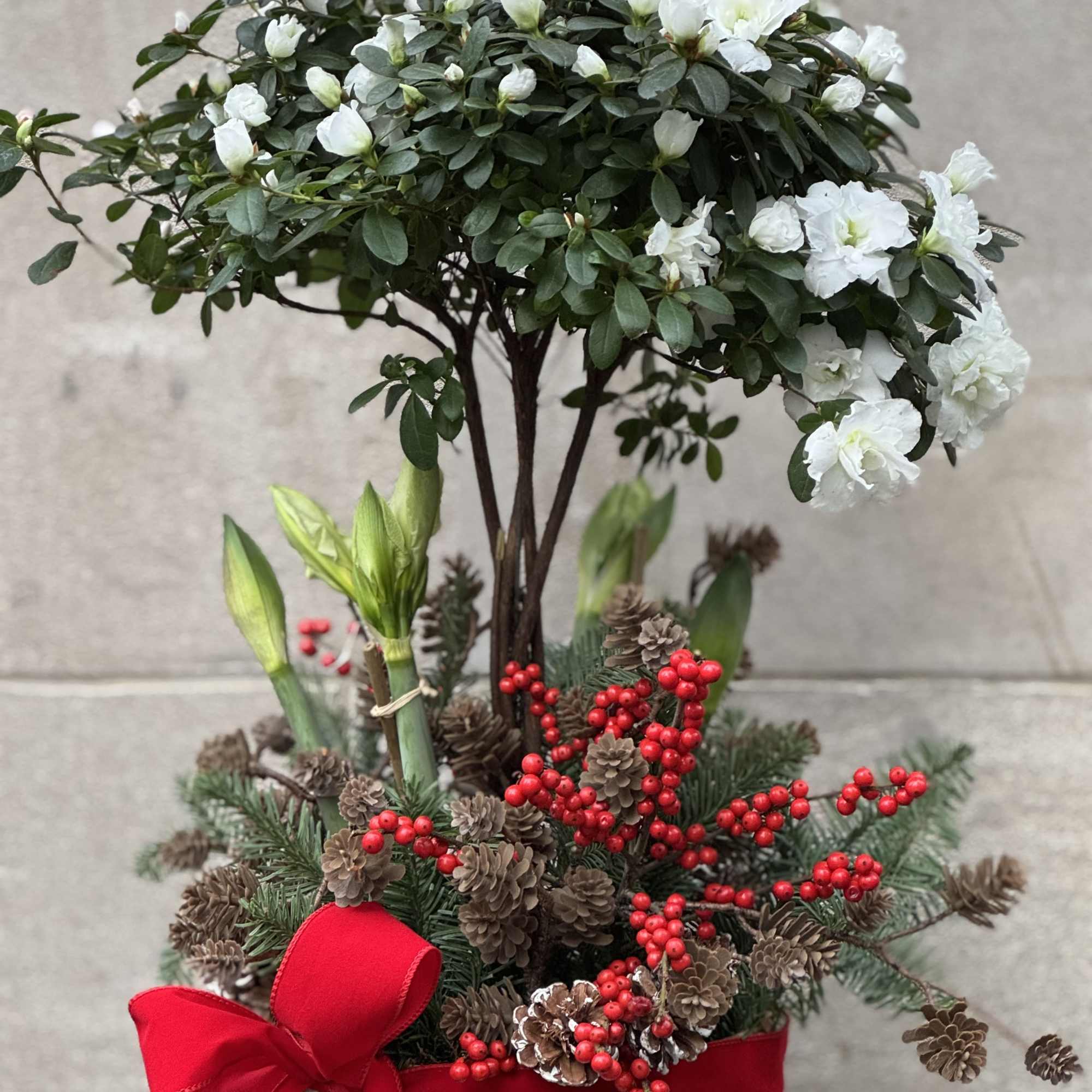 Bring in the holidays and new year with something natural, earthy and