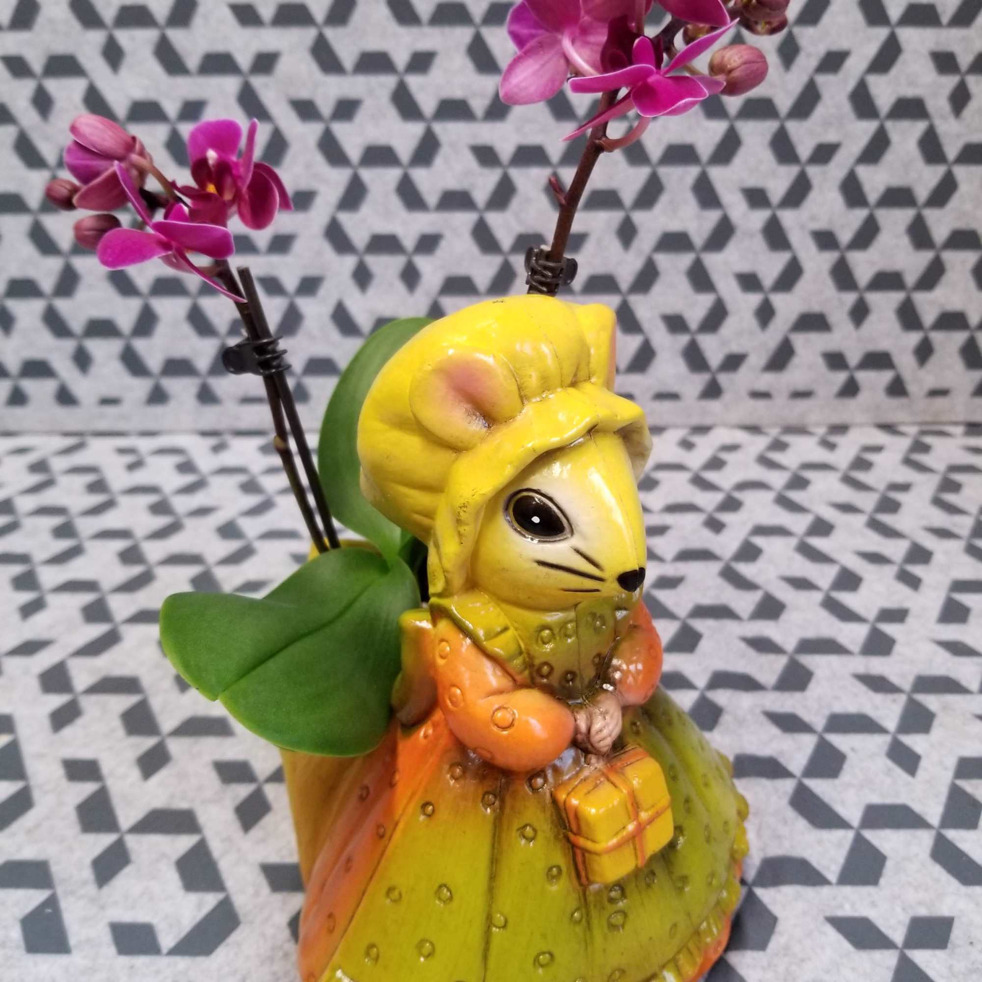 A Magical Mini Orchid Garden in a Collectible Figurine Planter

Step into a