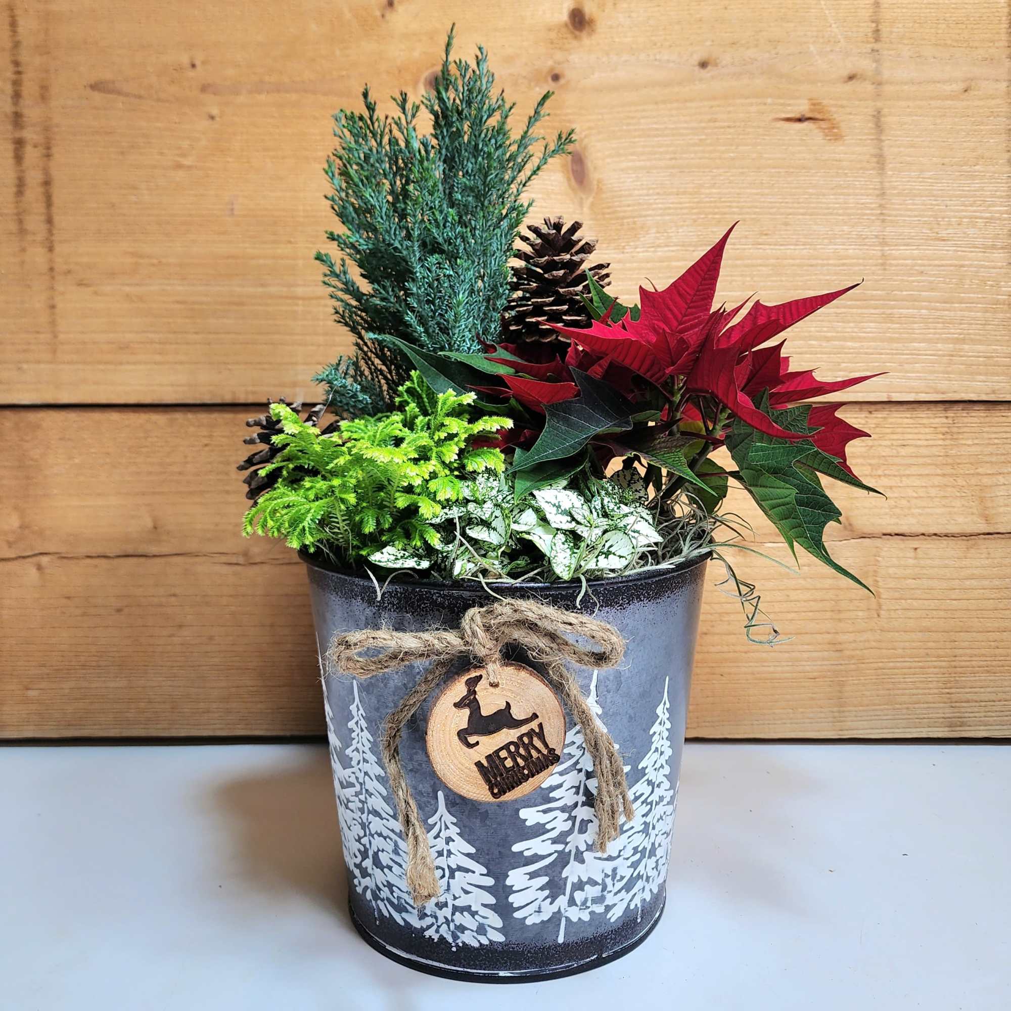 The Woodland Wonderland Dish Garden brings the wintery outdoors into your own