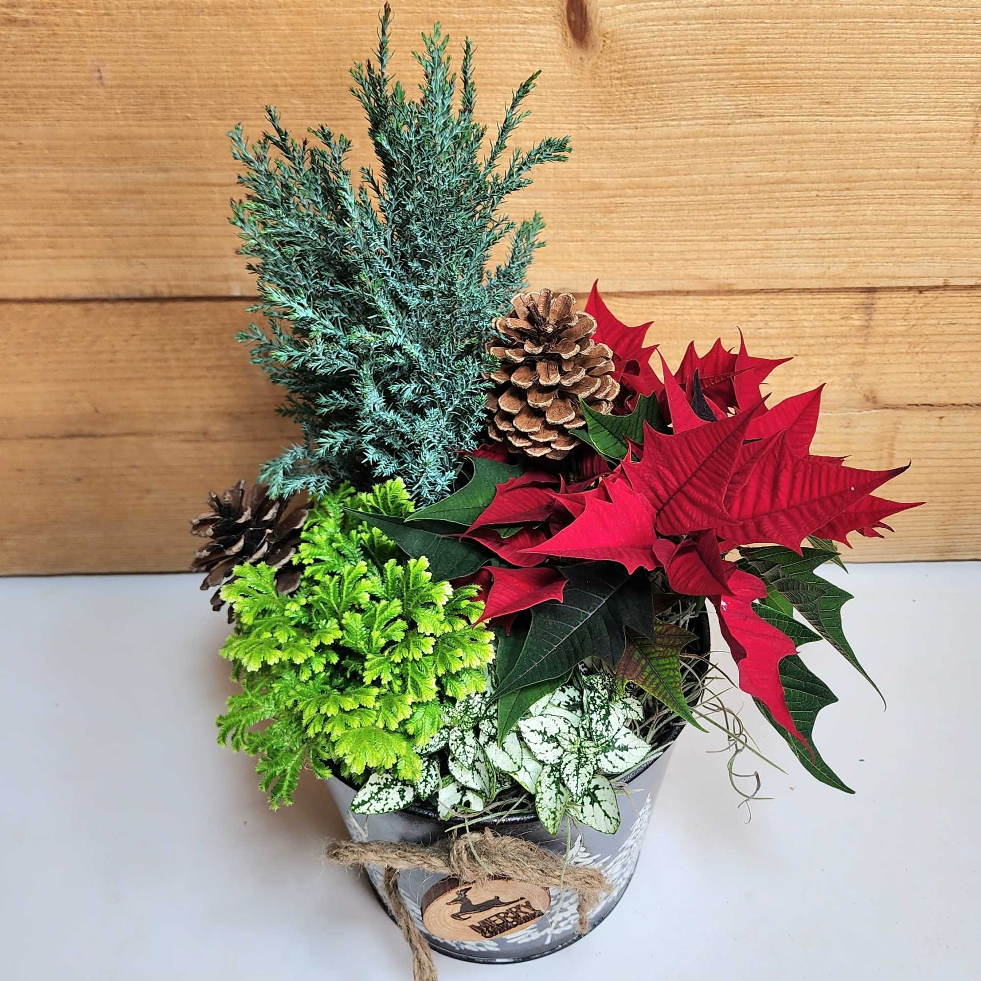 The Woodland Wonderland Dish Garden brings the wintery outdoors into your own