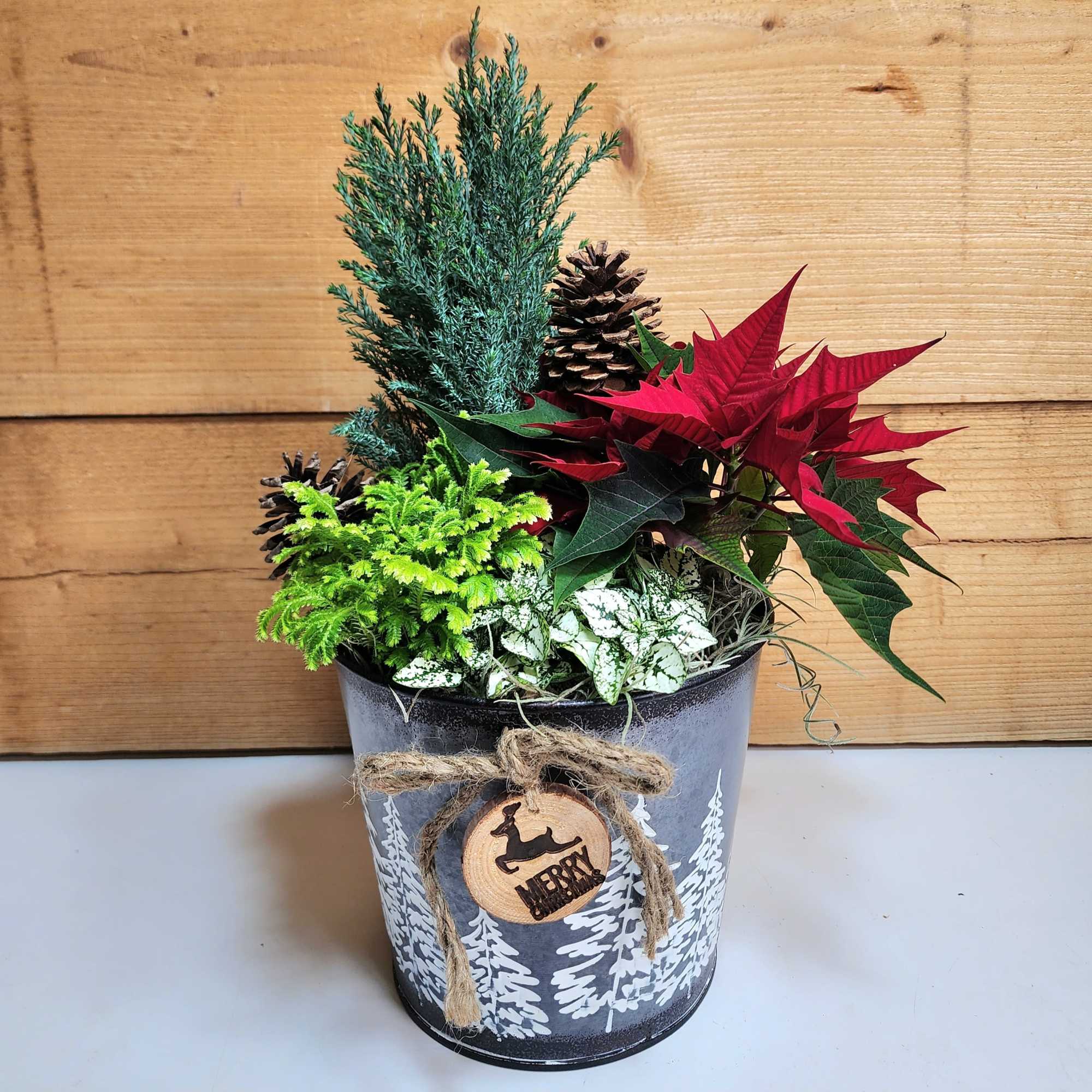 The Woodland Wonderland Dish Garden brings the wintery outdoors into your own