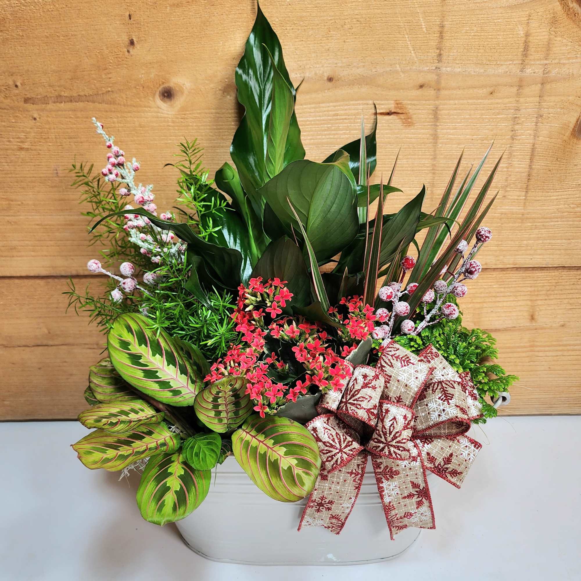 Our Garden Gathering brings a large variety of plants into your home