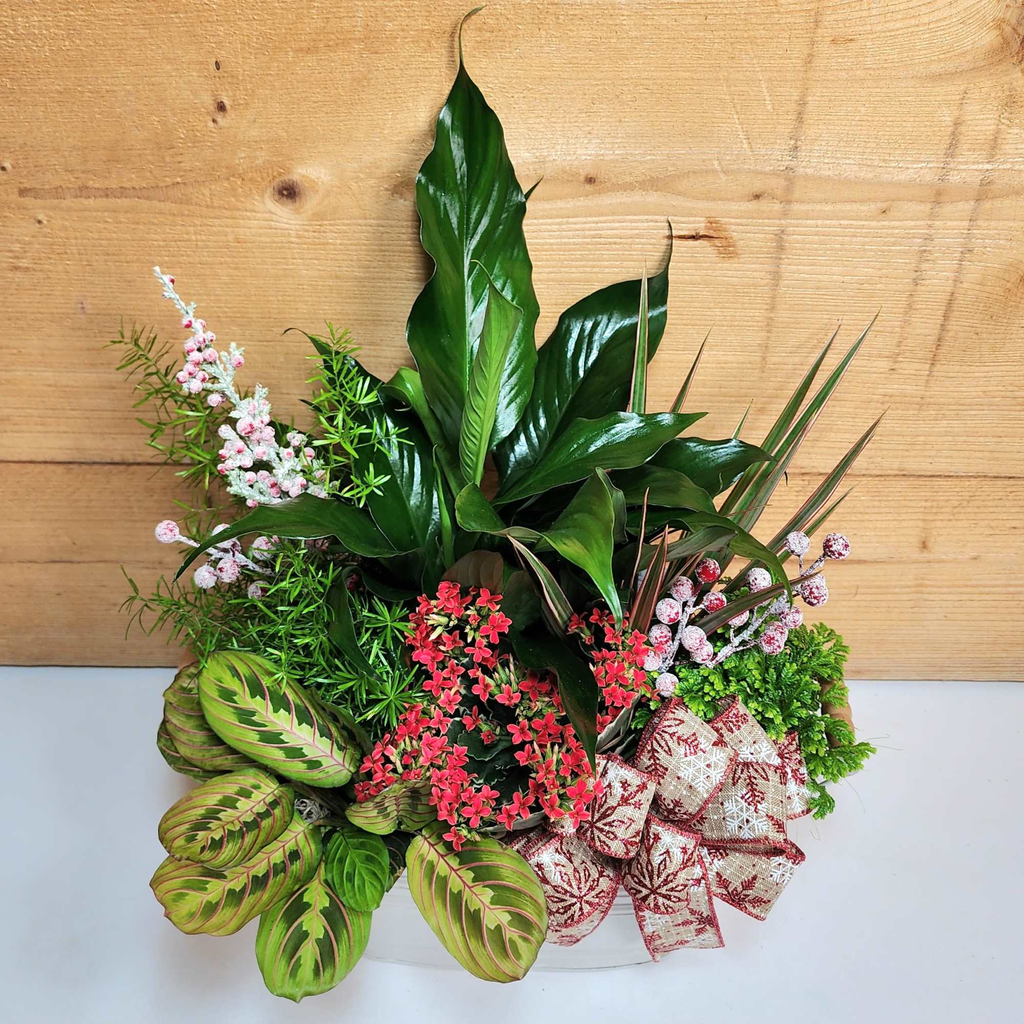 Our Garden Gathering brings a large variety of plants into your home