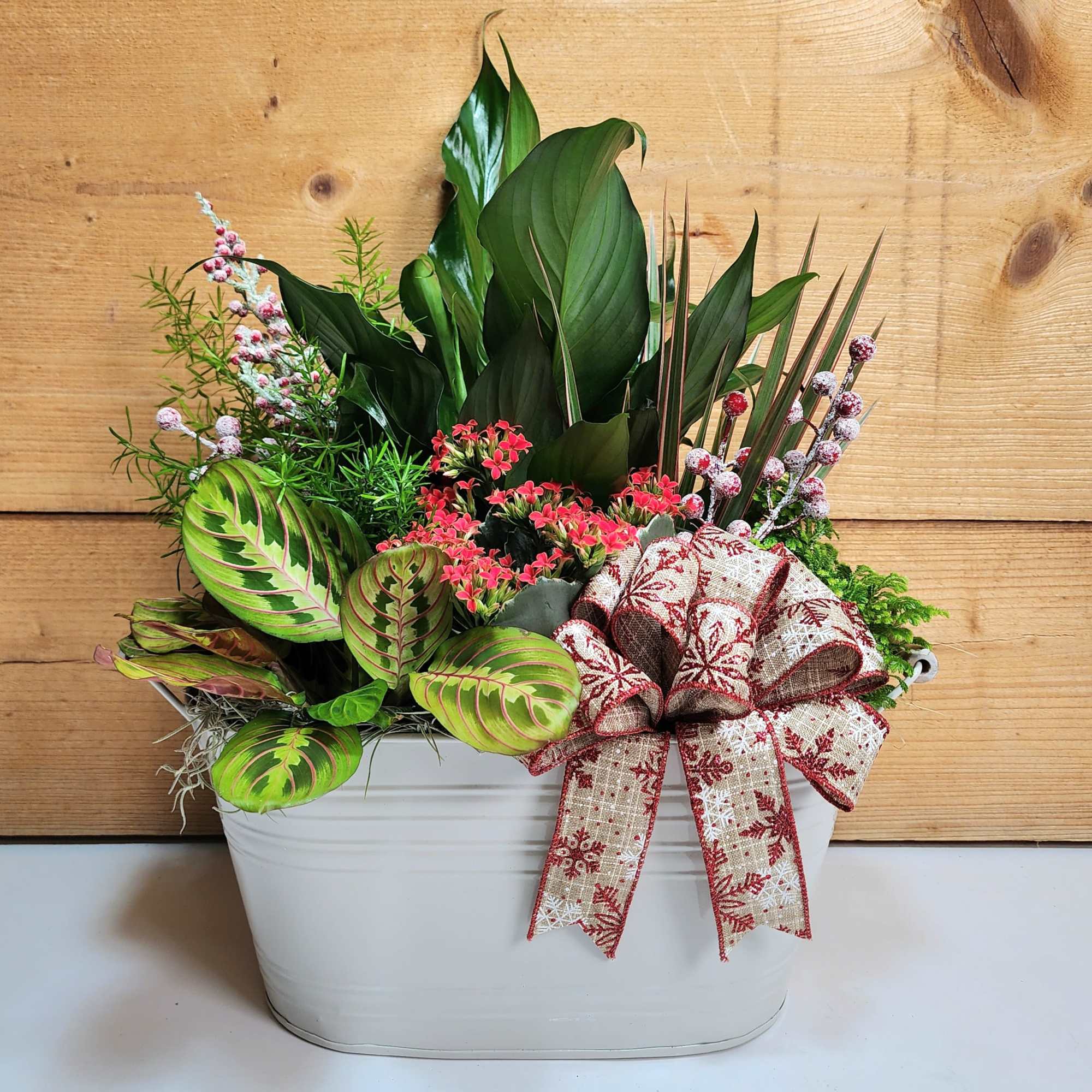 Our Garden Gathering brings a large variety of plants into your home