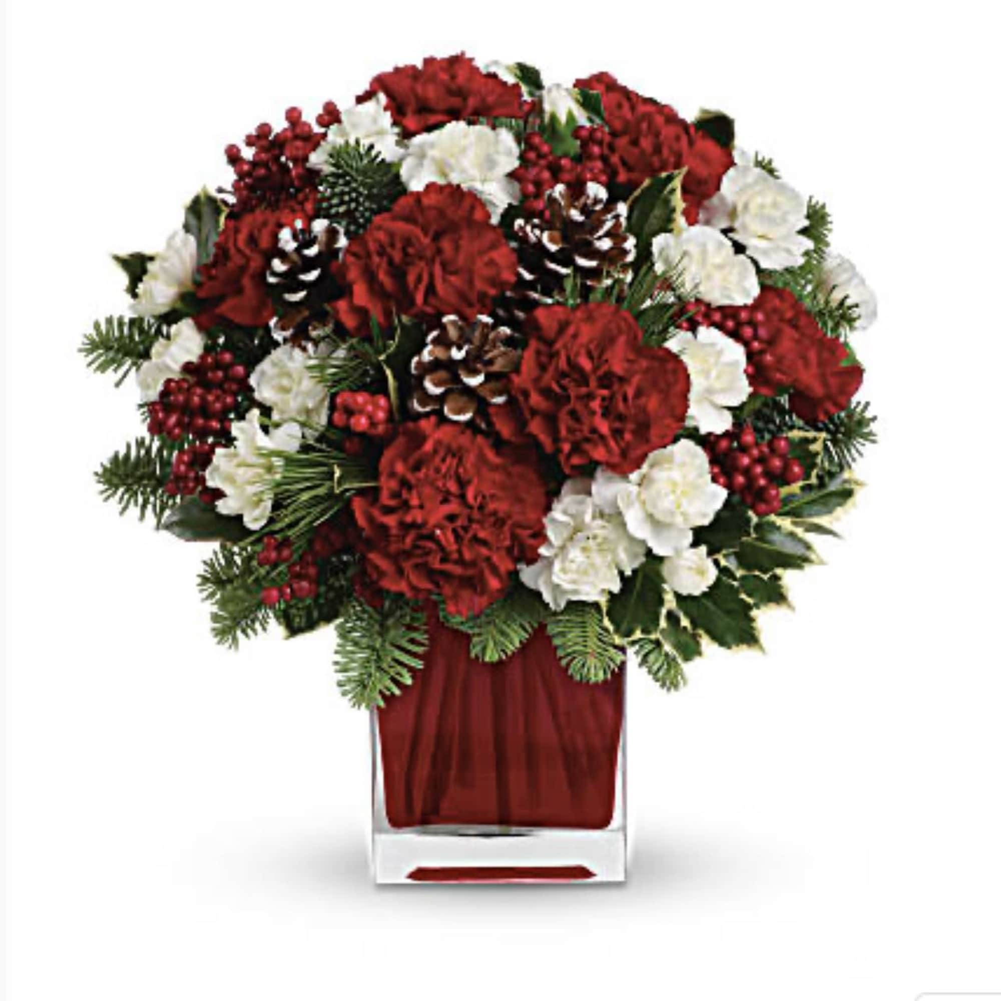 Make them merry with this sweet bouquet! Red carnations and white carnations
