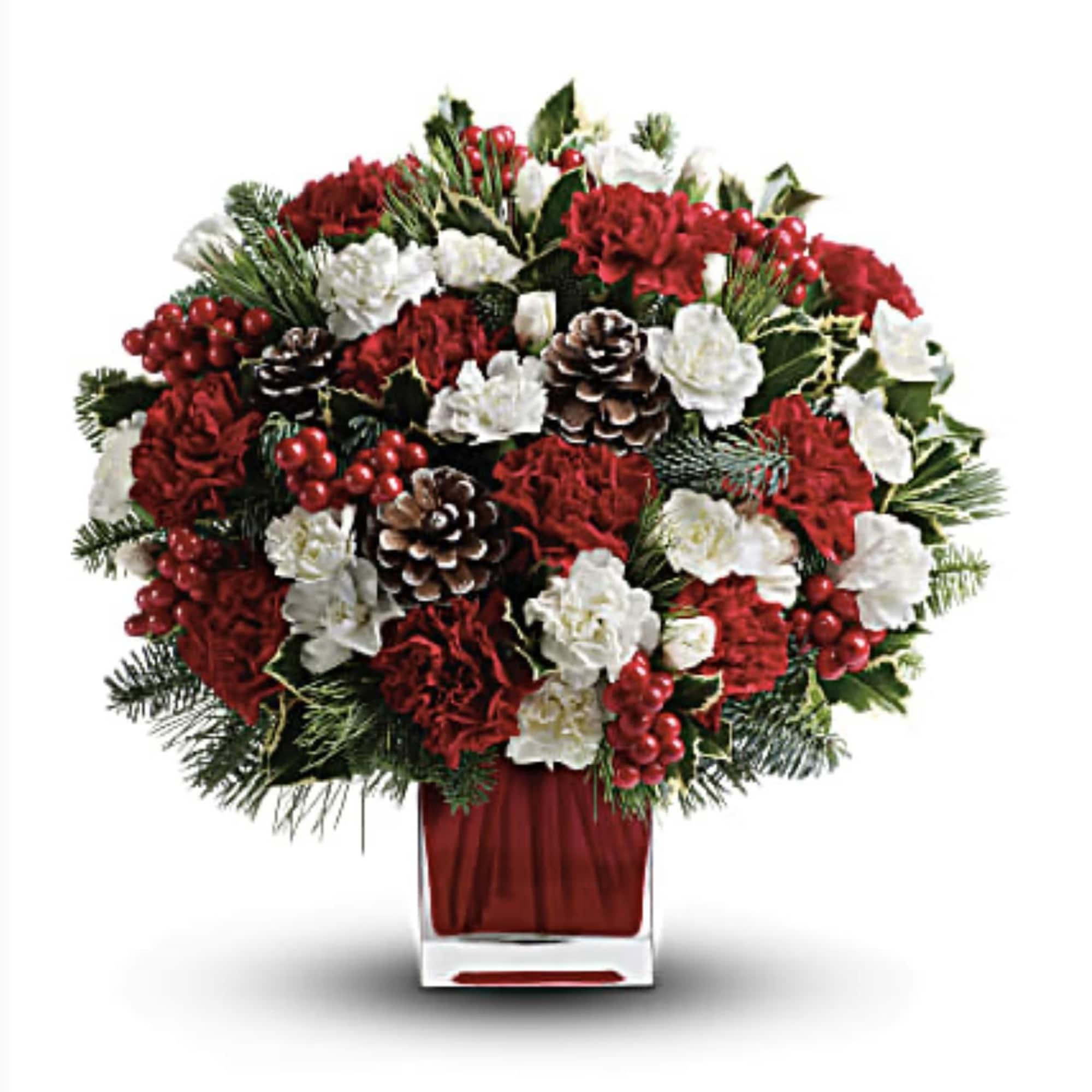 Make them merry with this sweet bouquet! Red carnations and white carnations