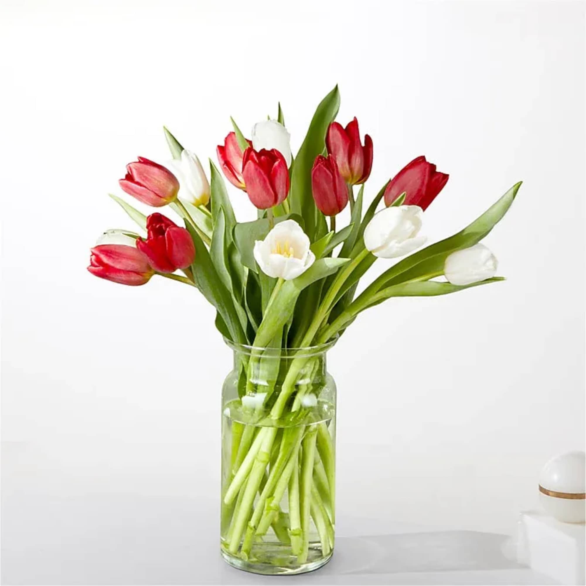 Sweeten the surprise by sending our Peppermint Tulips. This delightful arrangement of