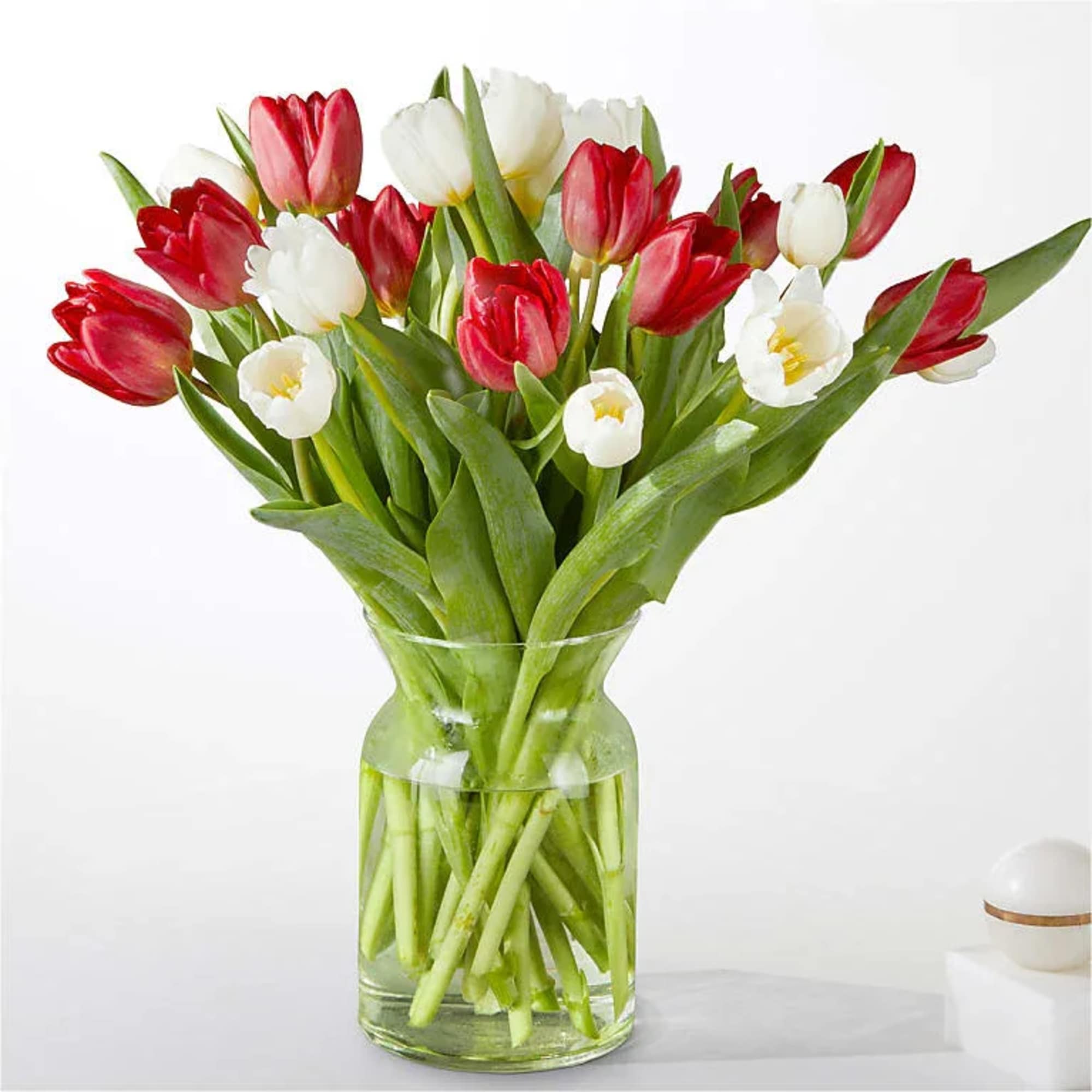 Sweeten the surprise by sending our Peppermint Tulips. This delightful arrangement of