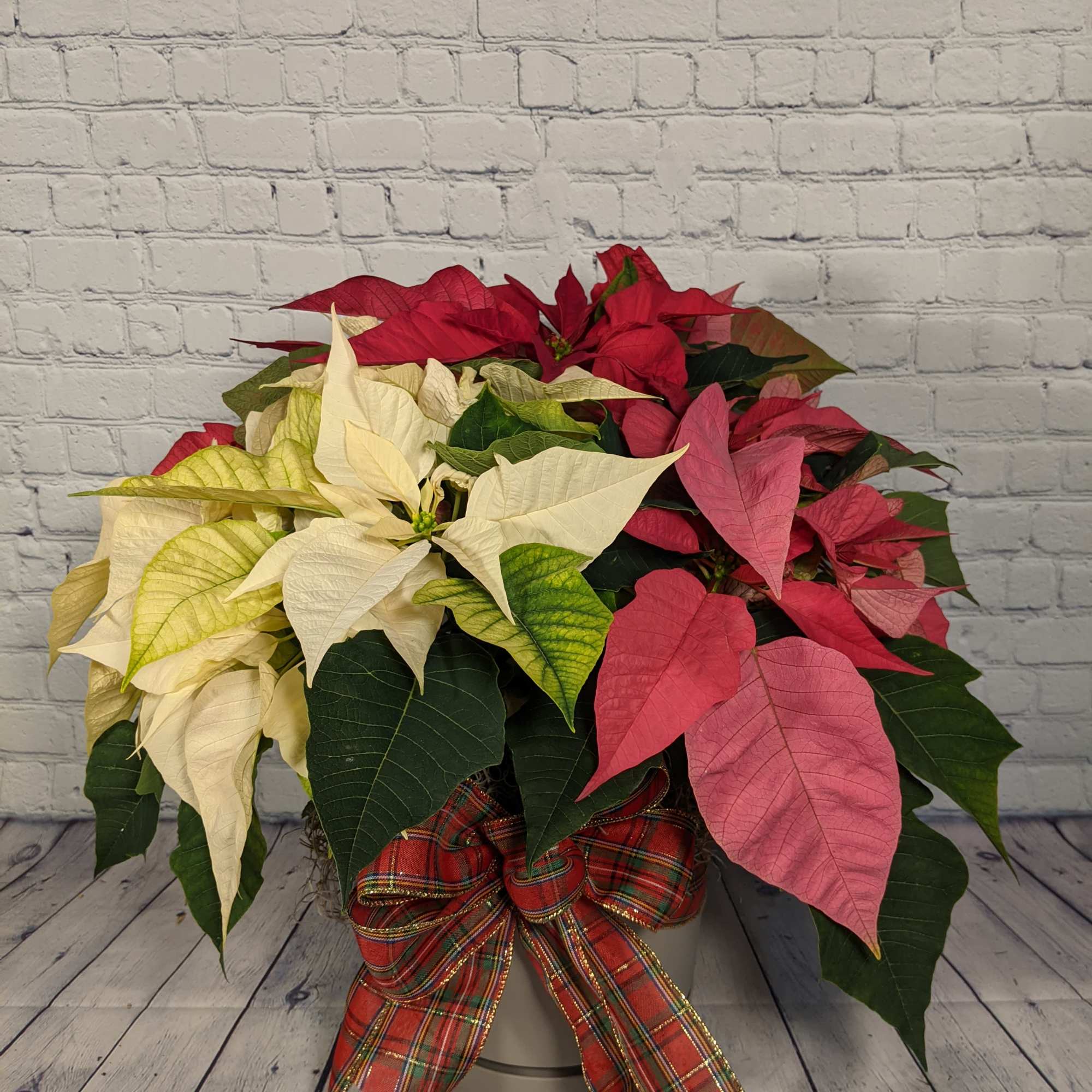 Looking for something sweet to send for Christmas this year? Send a