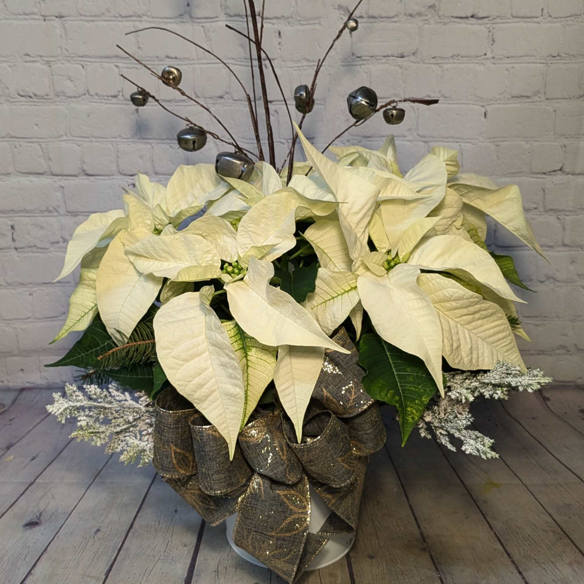 Send a merry Christmas poinsettia for that special someone this holiday season.