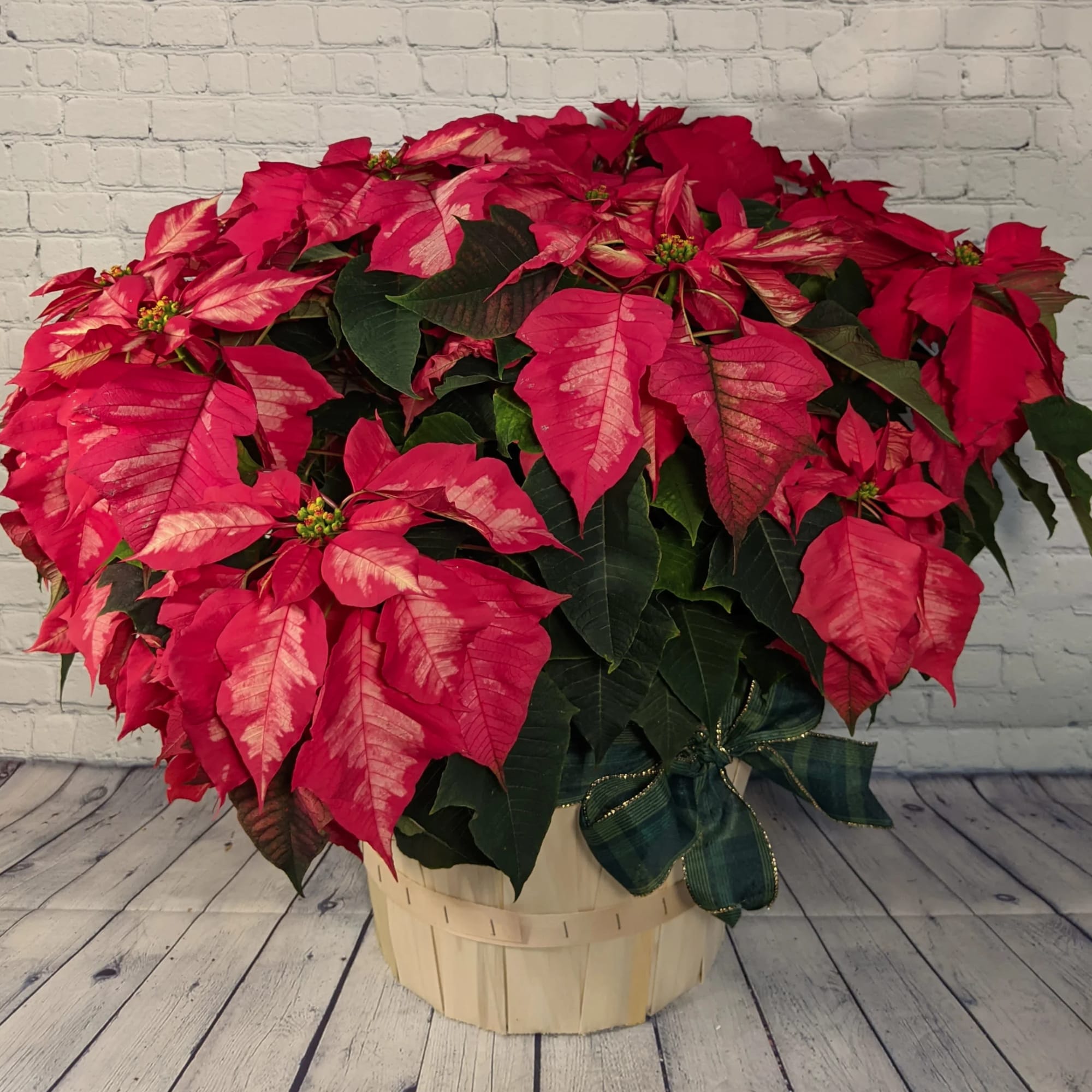 Whether you get to go home for Christmas this year or not