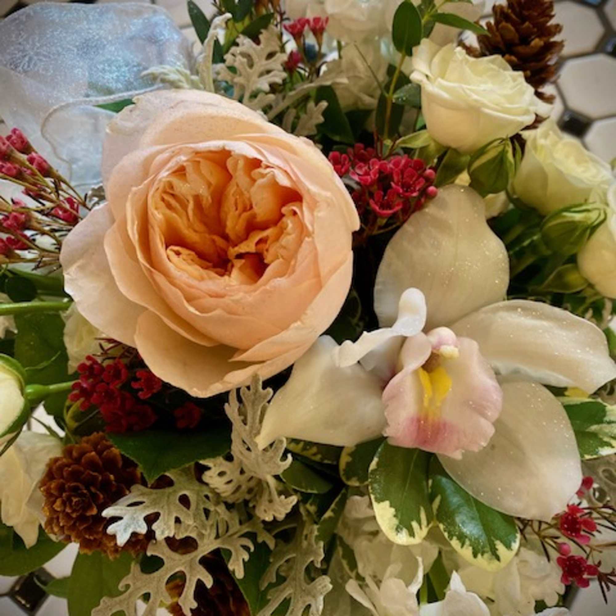 &quot;Holiday Stardust&quot; will add a sprinkle of magic to anyone&#039;s holiday. With