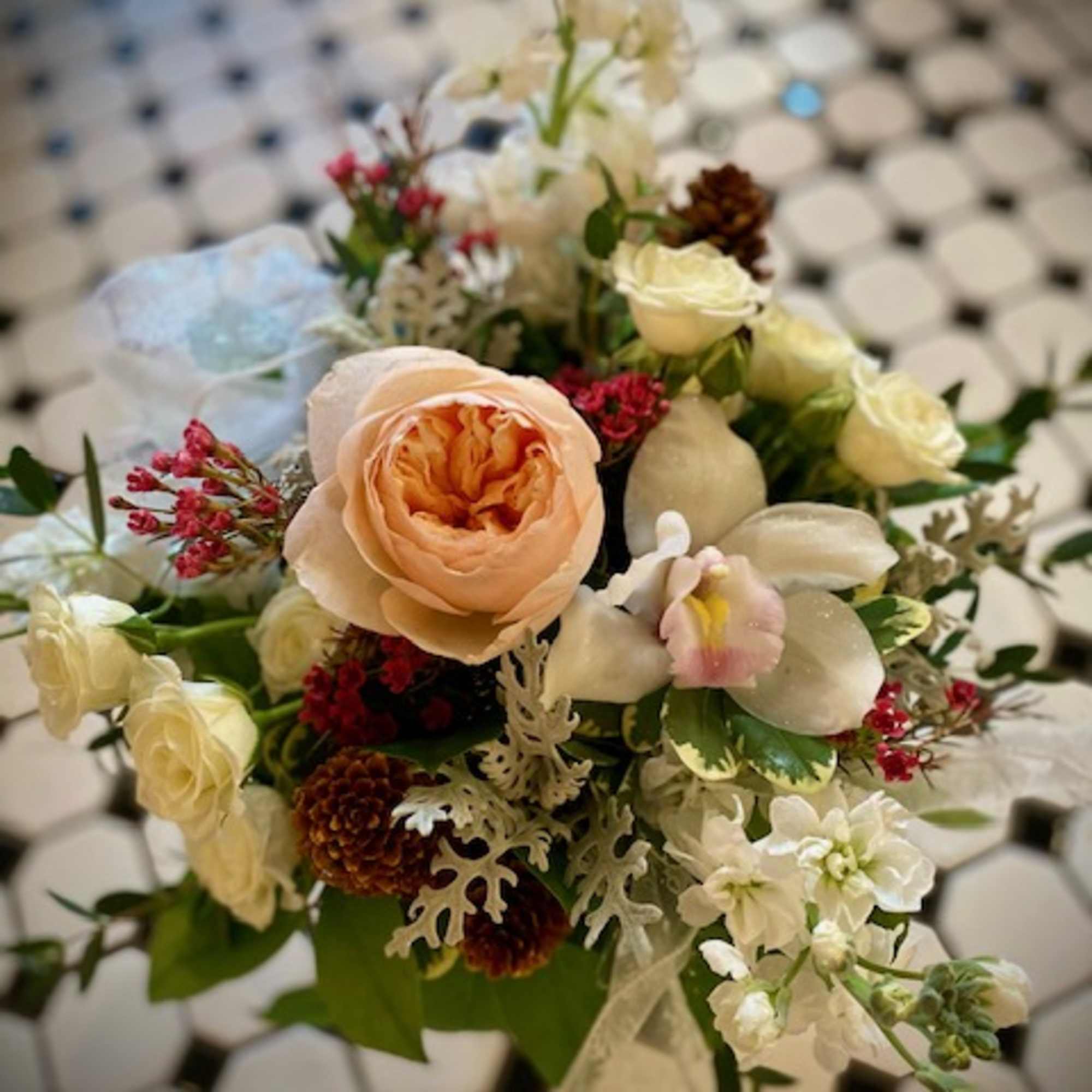 &quot;Holiday Stardust&quot; will add a sprinkle of magic to anyone&#039;s holiday. With