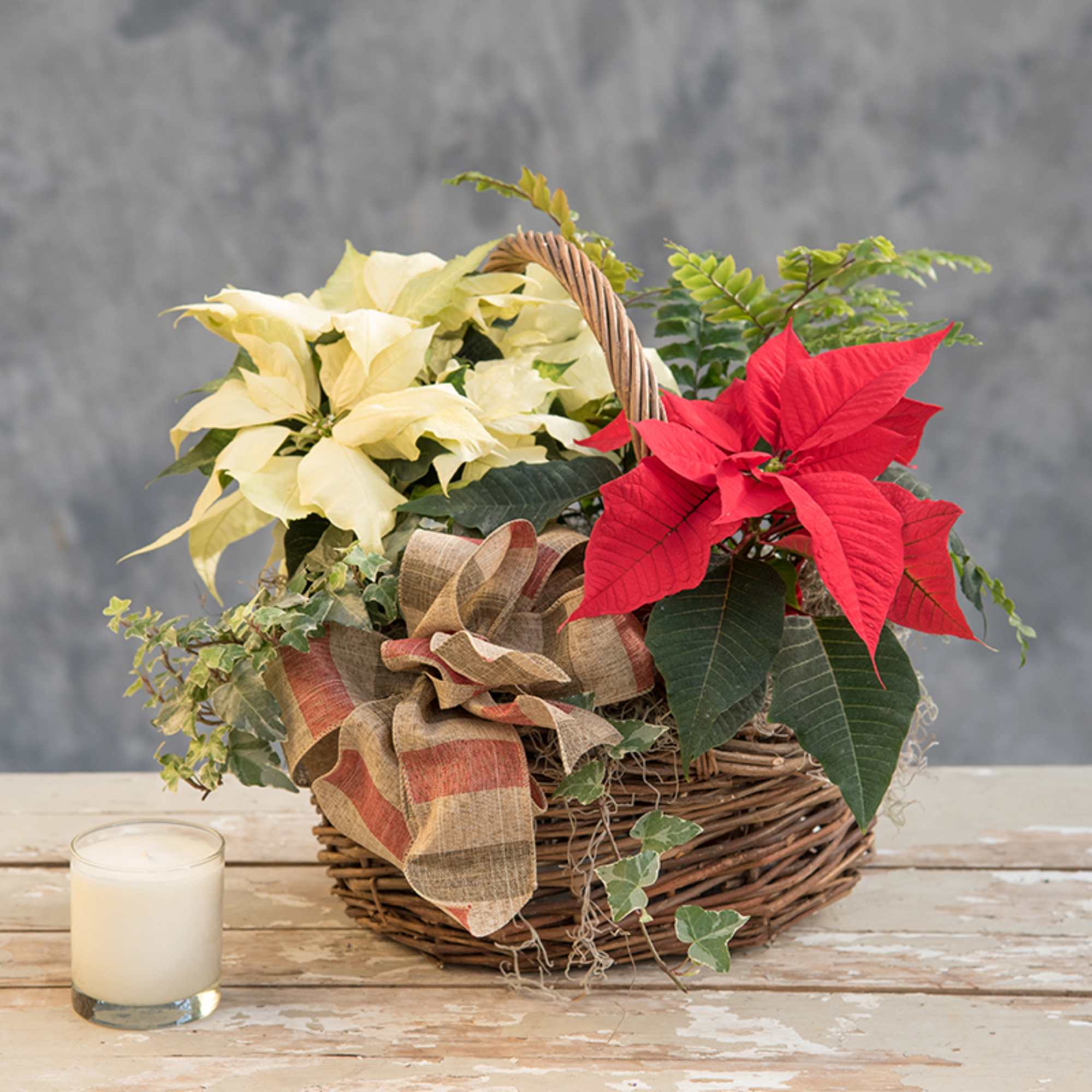 An amazing assortment of our locally grown poinsettias, green and seasonal blooming