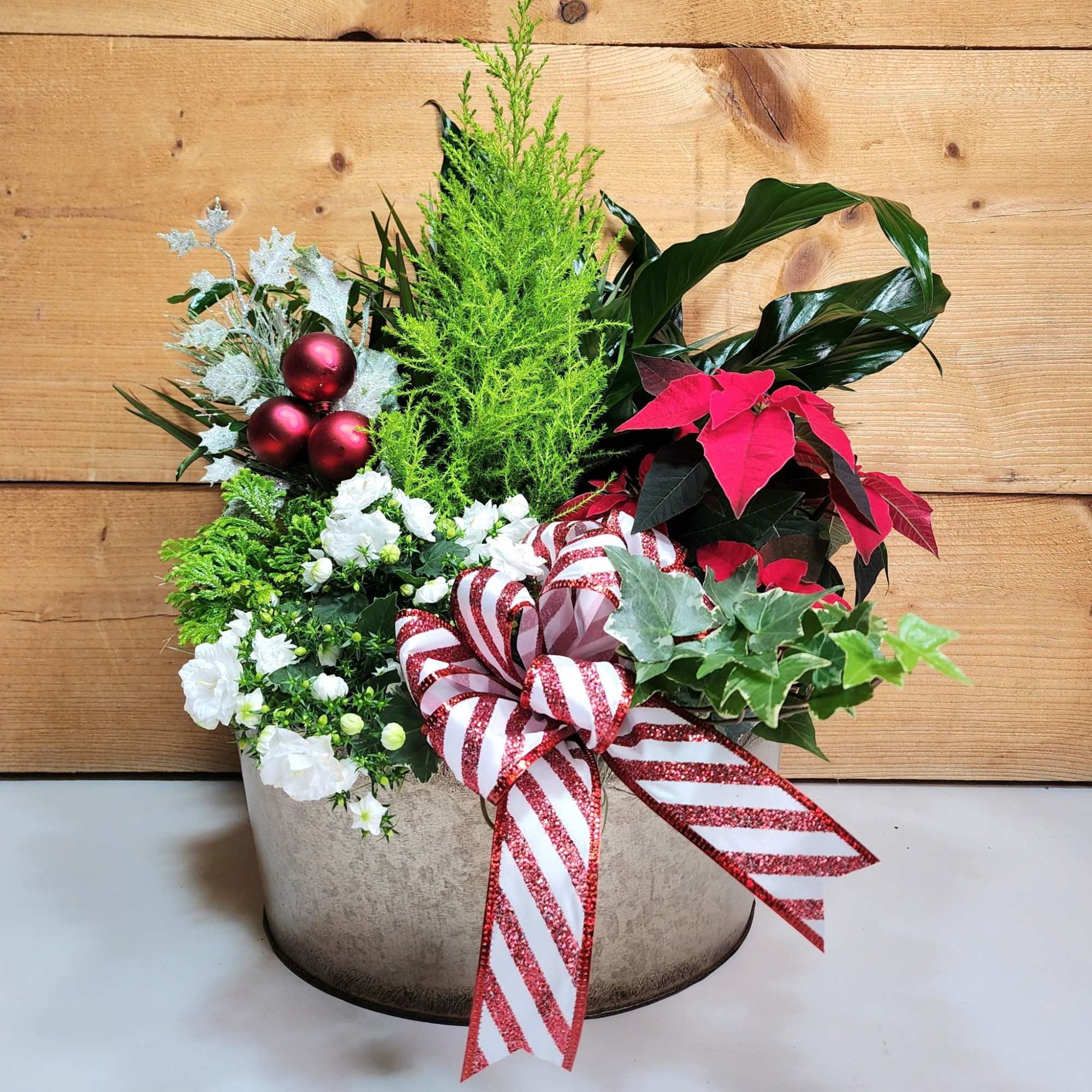 Our Festive Foliage Dish Garden is a masterpiece in holiday cheer! Featuring
