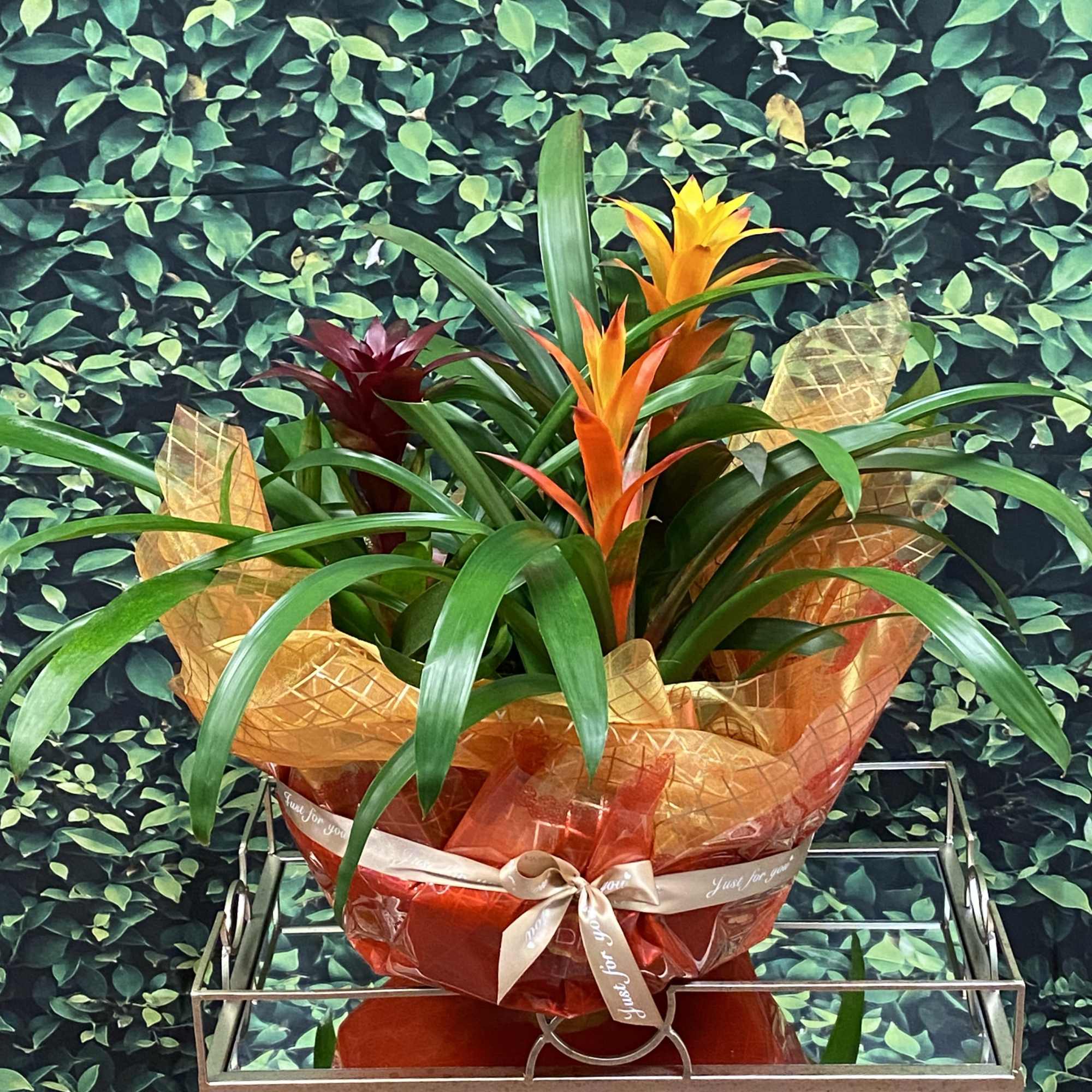 A plant with a cool shape, bright color, that works as an