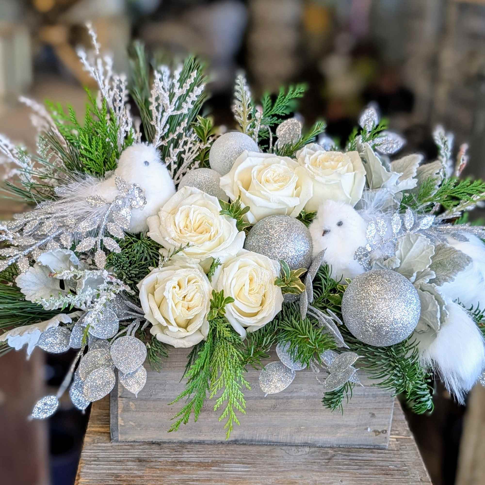 Dove &ndash; A Winter Whisper in White
Soft, serene, and elegantly enchanting, Dove