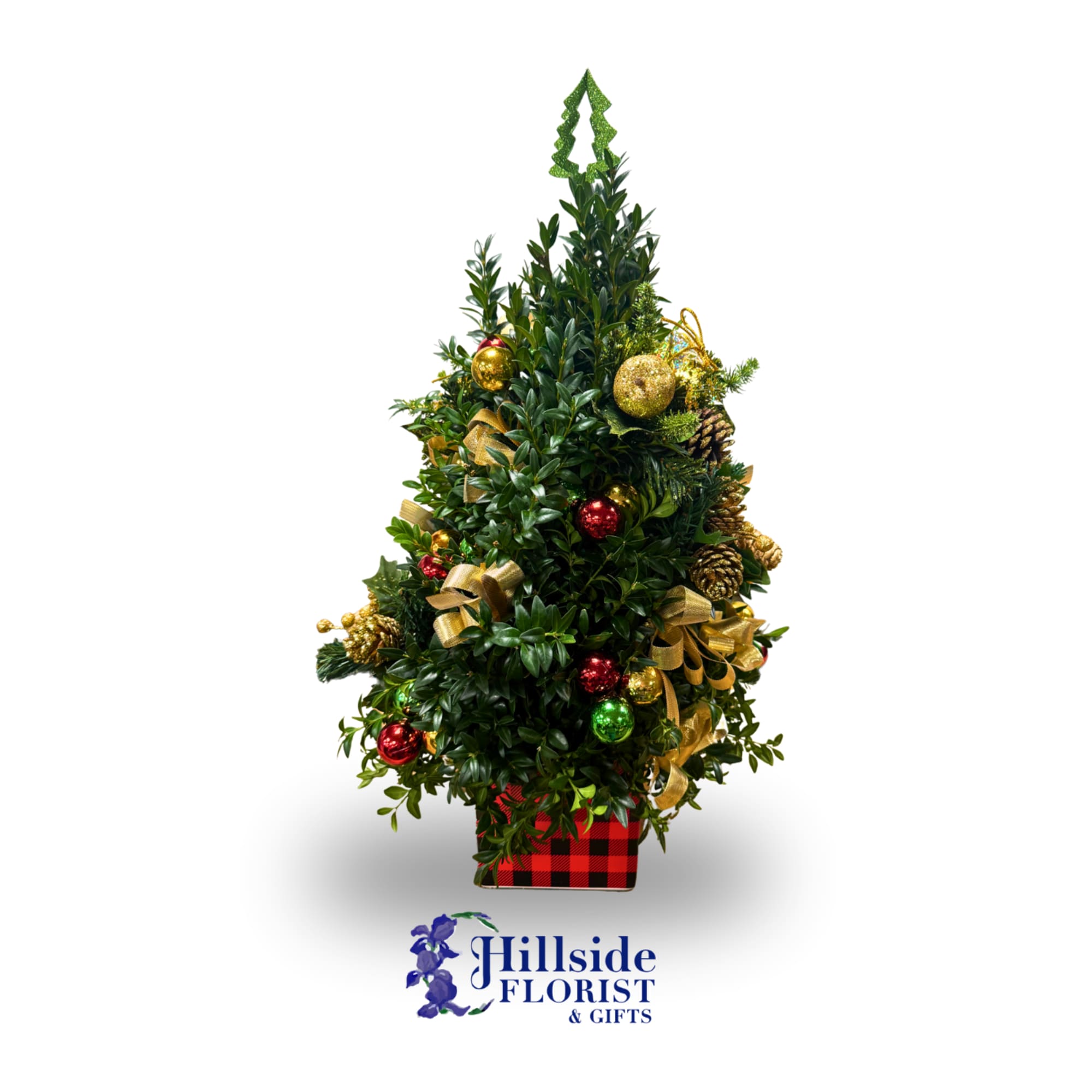 All trees are uniquely decorated. Boxwood greens arranged in a classic tree