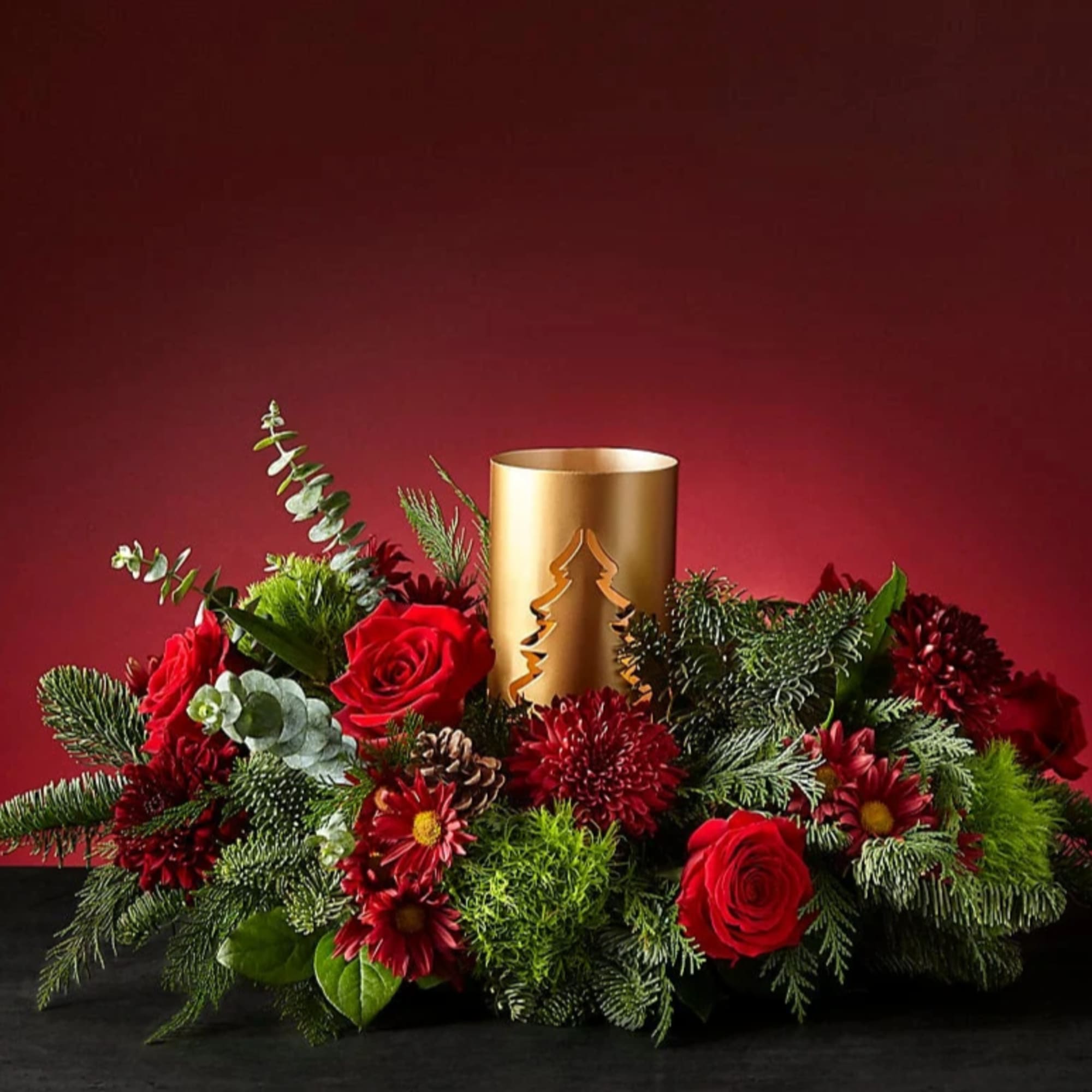 Rekindle your appreciation for the beauty of a winter landscape with our