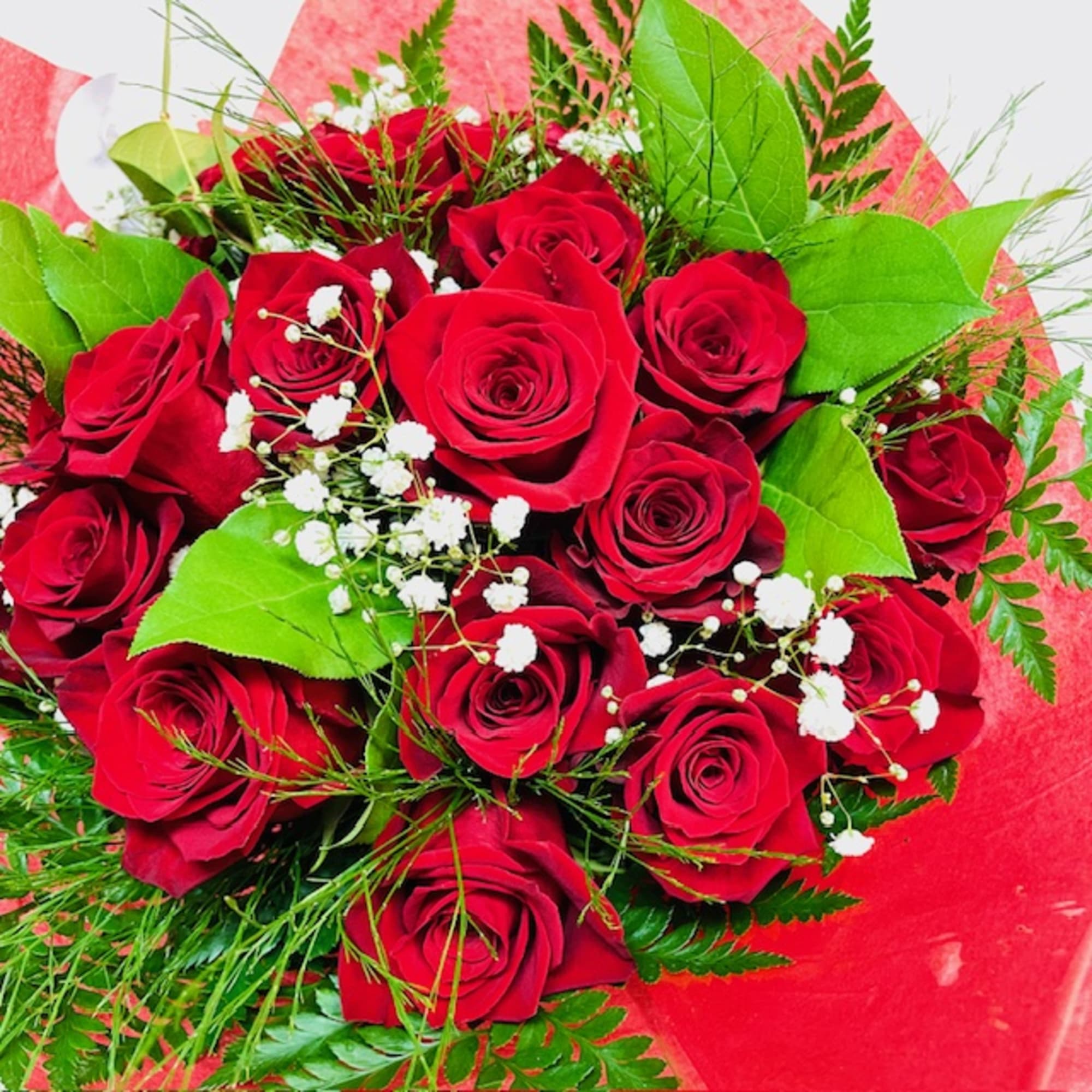 Dozen Wrapped Premium Ecuadorian Red Roses with filler and Greenery

Indulge in the