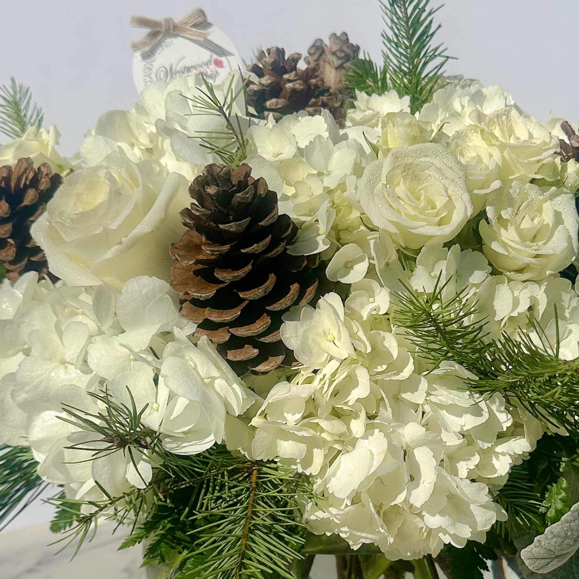 Thinking of the best gift to send your family and friends this