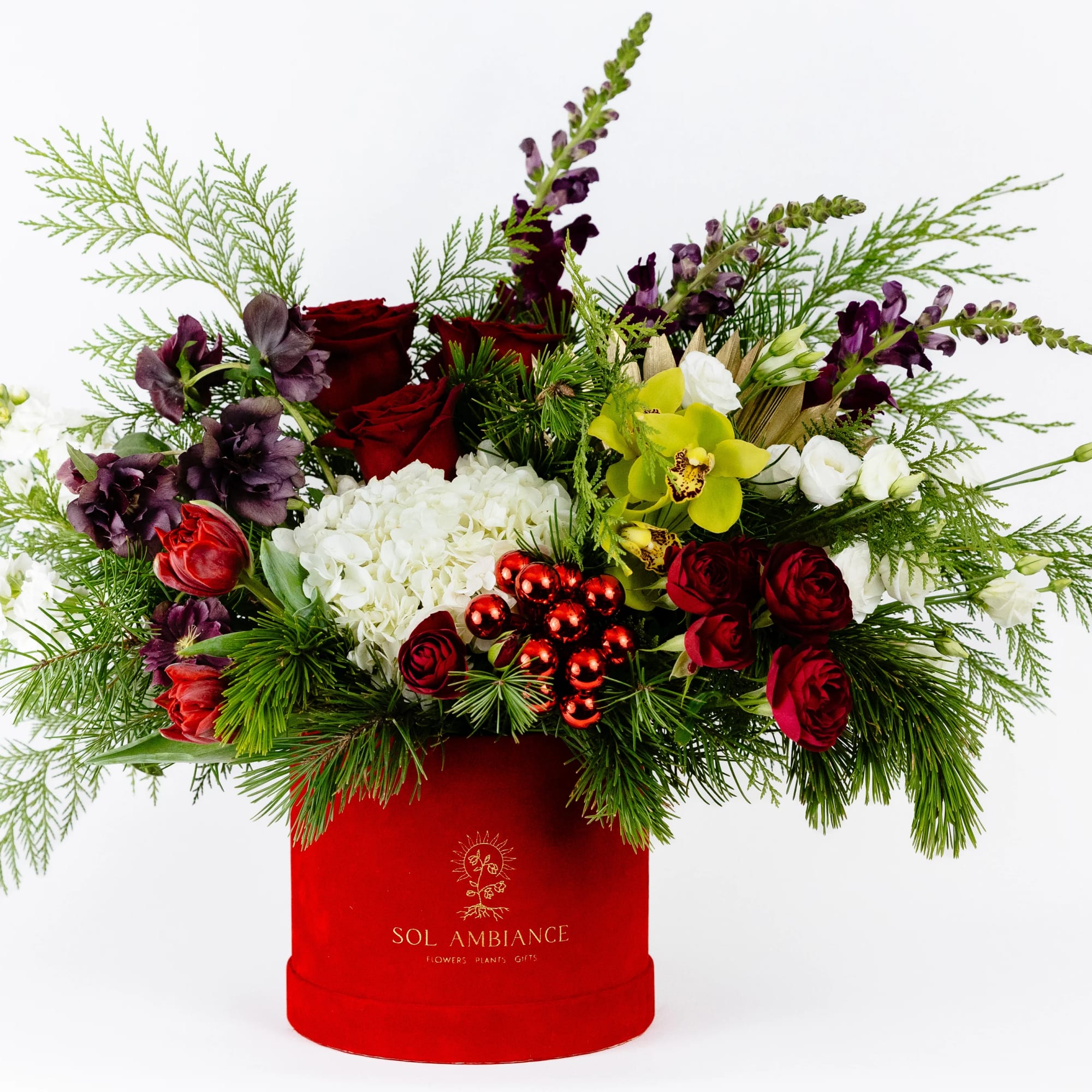 Nestled in a red velvet logo box the color of Santa&#039;s suit