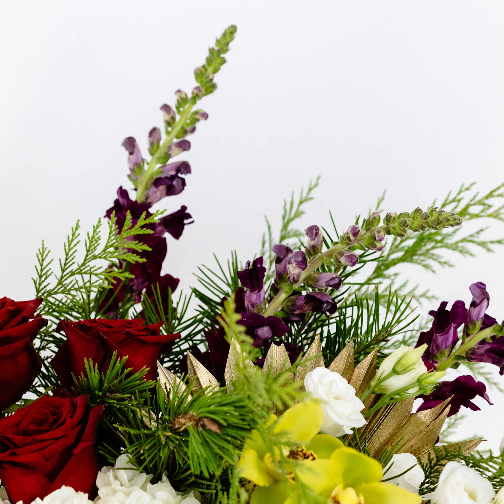 Nestled in a red velvet logo box the color of Santa&#039;s suit