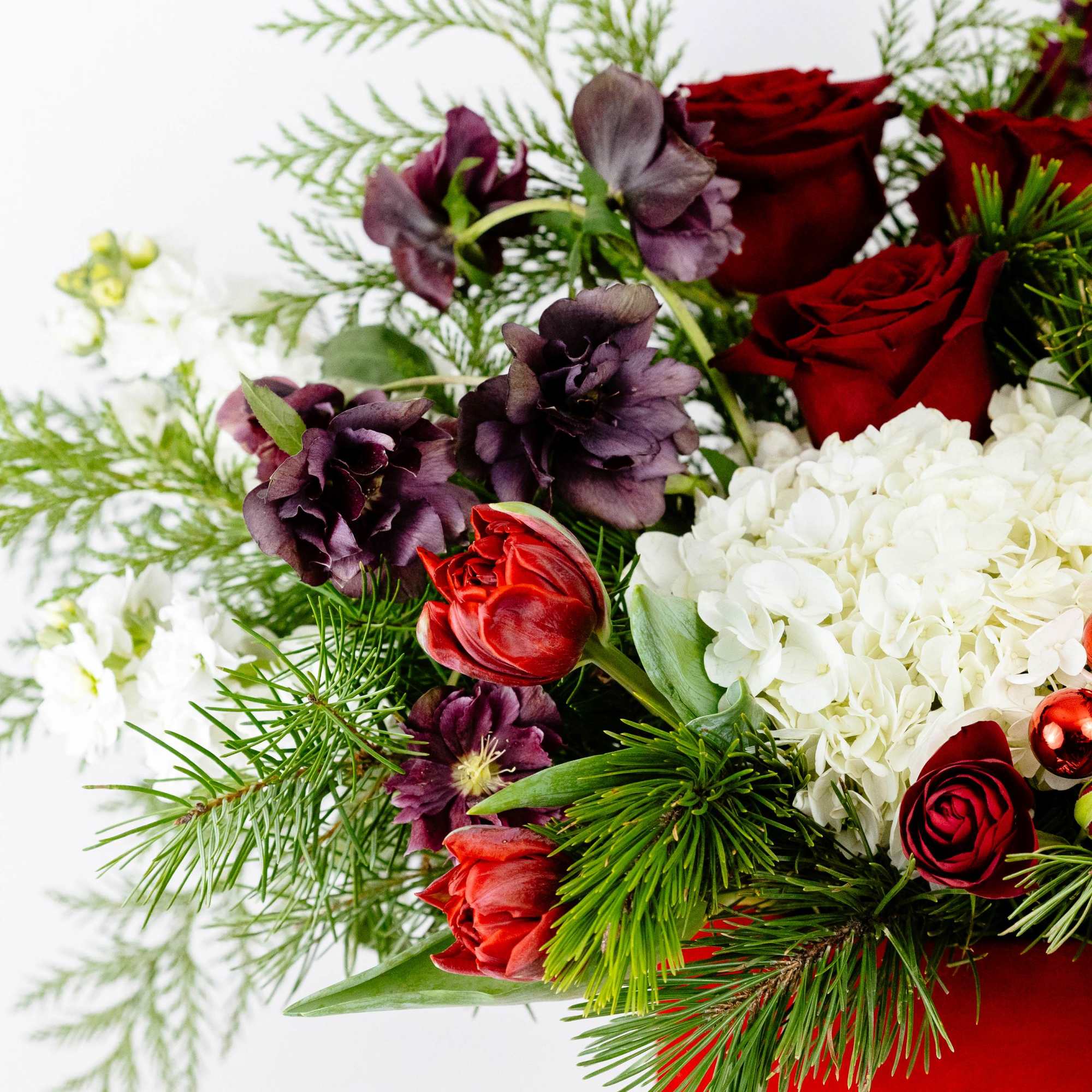 Nestled in a red velvet logo box the color of Santa&#039;s suit