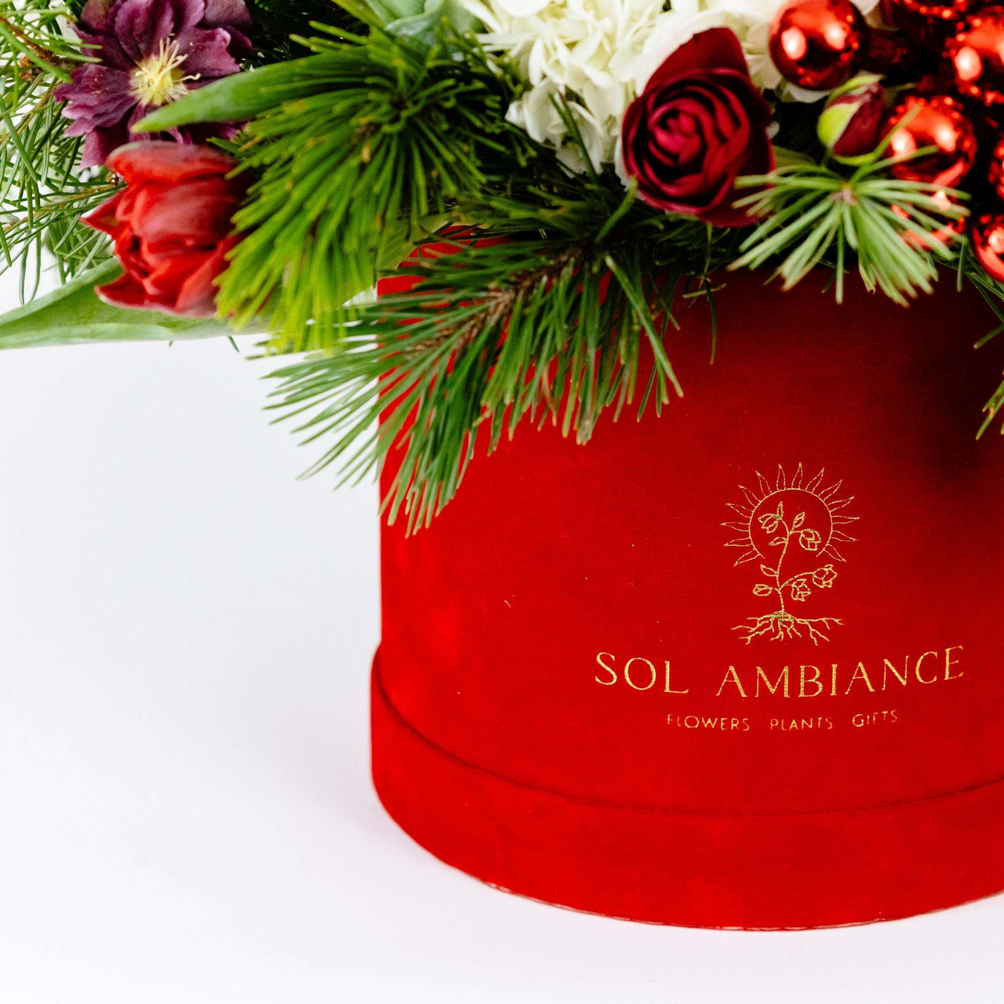 Nestled in a red velvet logo box the color of Santa&#039;s suit