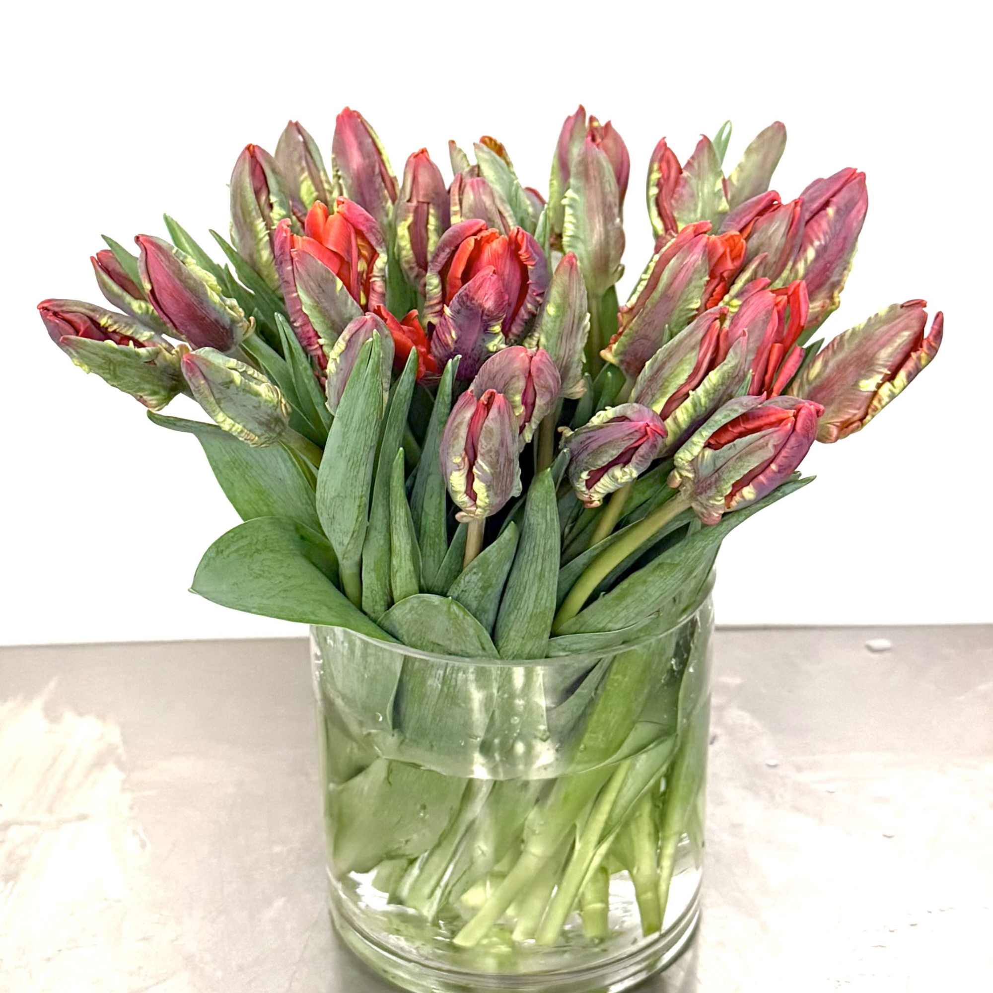 A lush and modern display of premium parrot tulips arranged tightly in