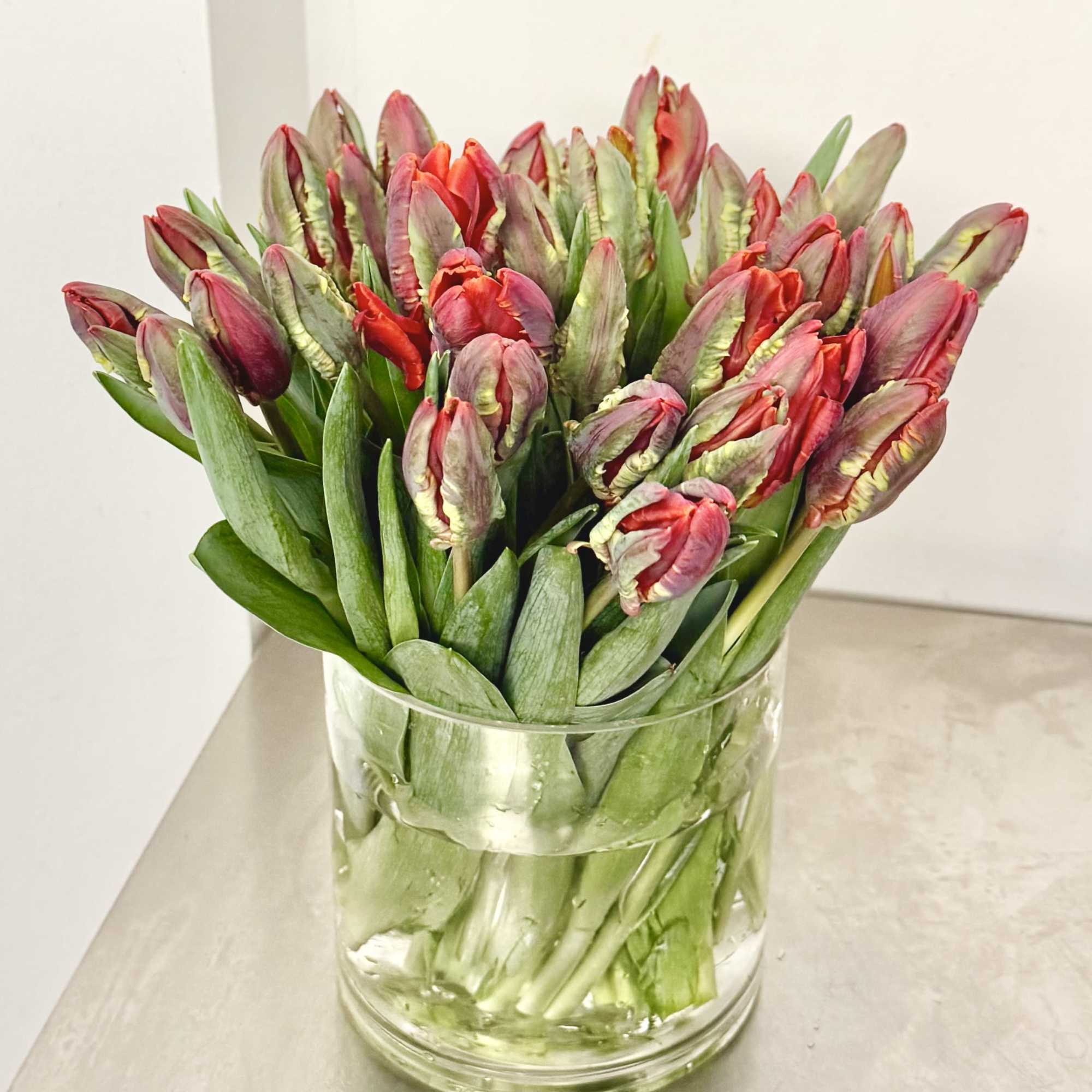 A lush and modern display of premium parrot tulips arranged tightly in