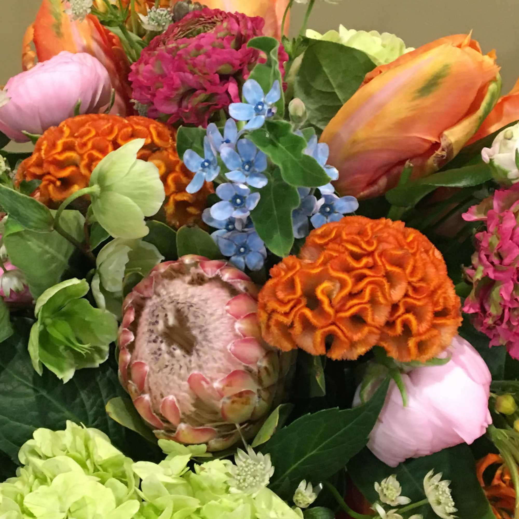 Let our designers create a beautiful arrangement with the freshest Flowers of