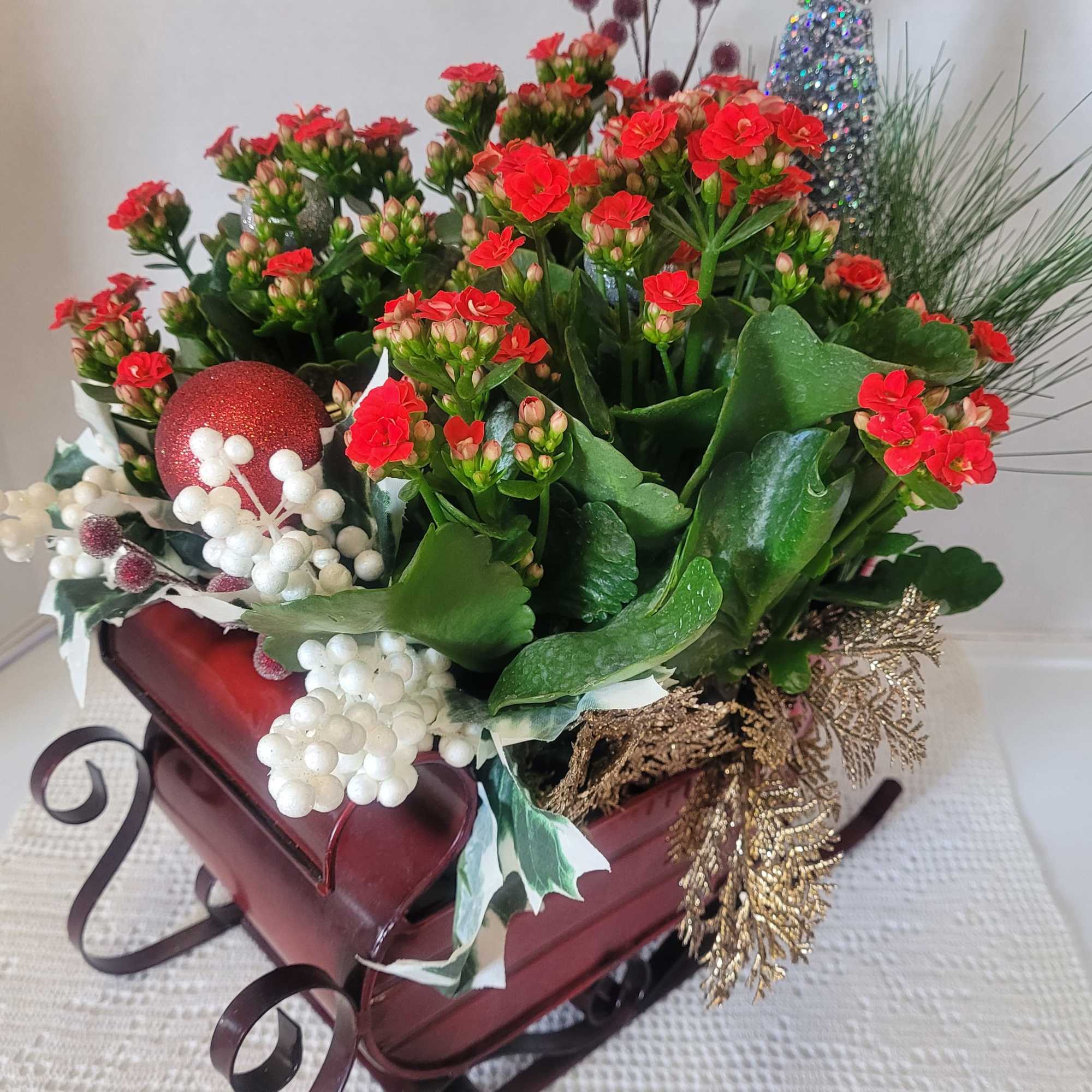 This sleigh is all decked out for the holiday season. A large