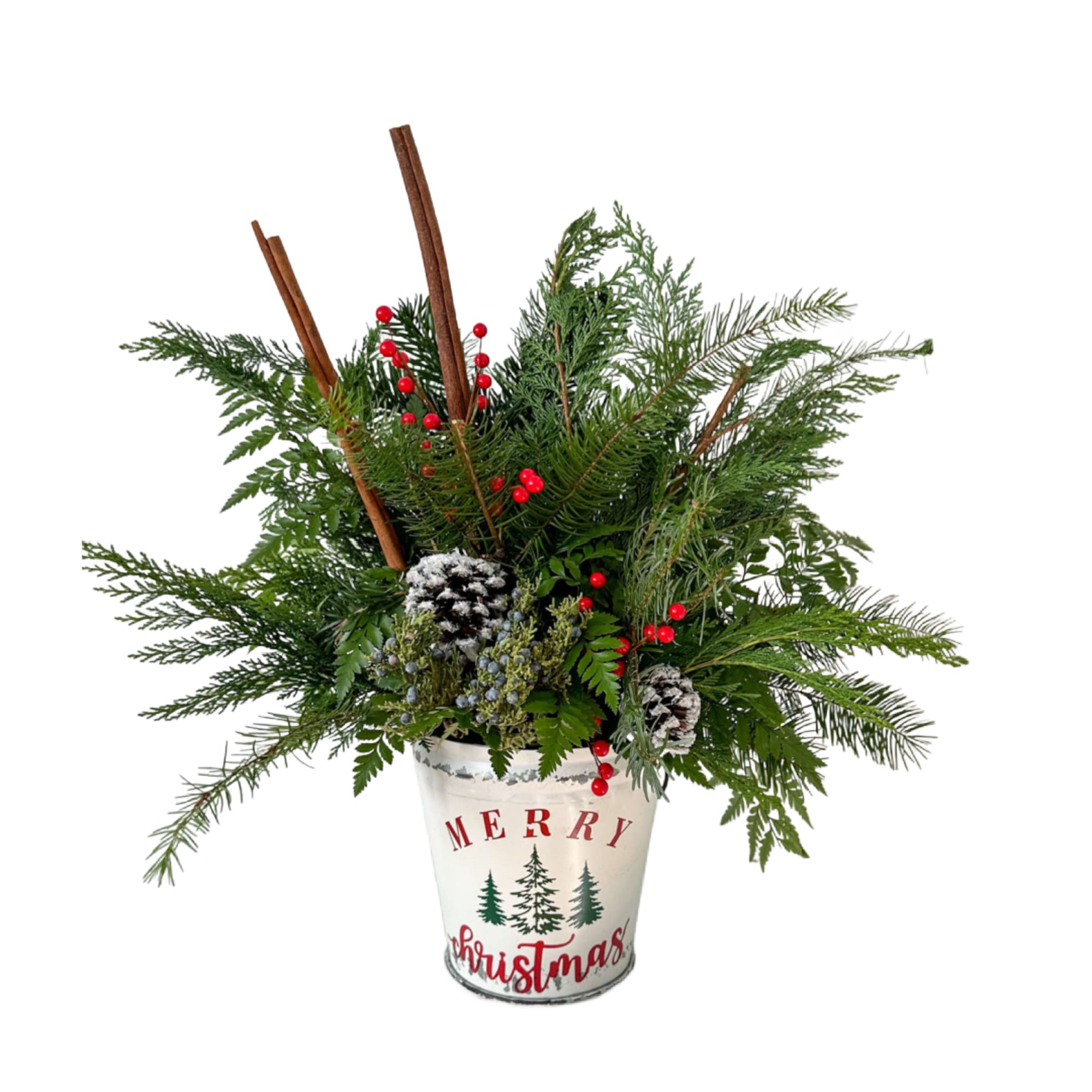 This Christmas bucket is full of fresh greens and will last all