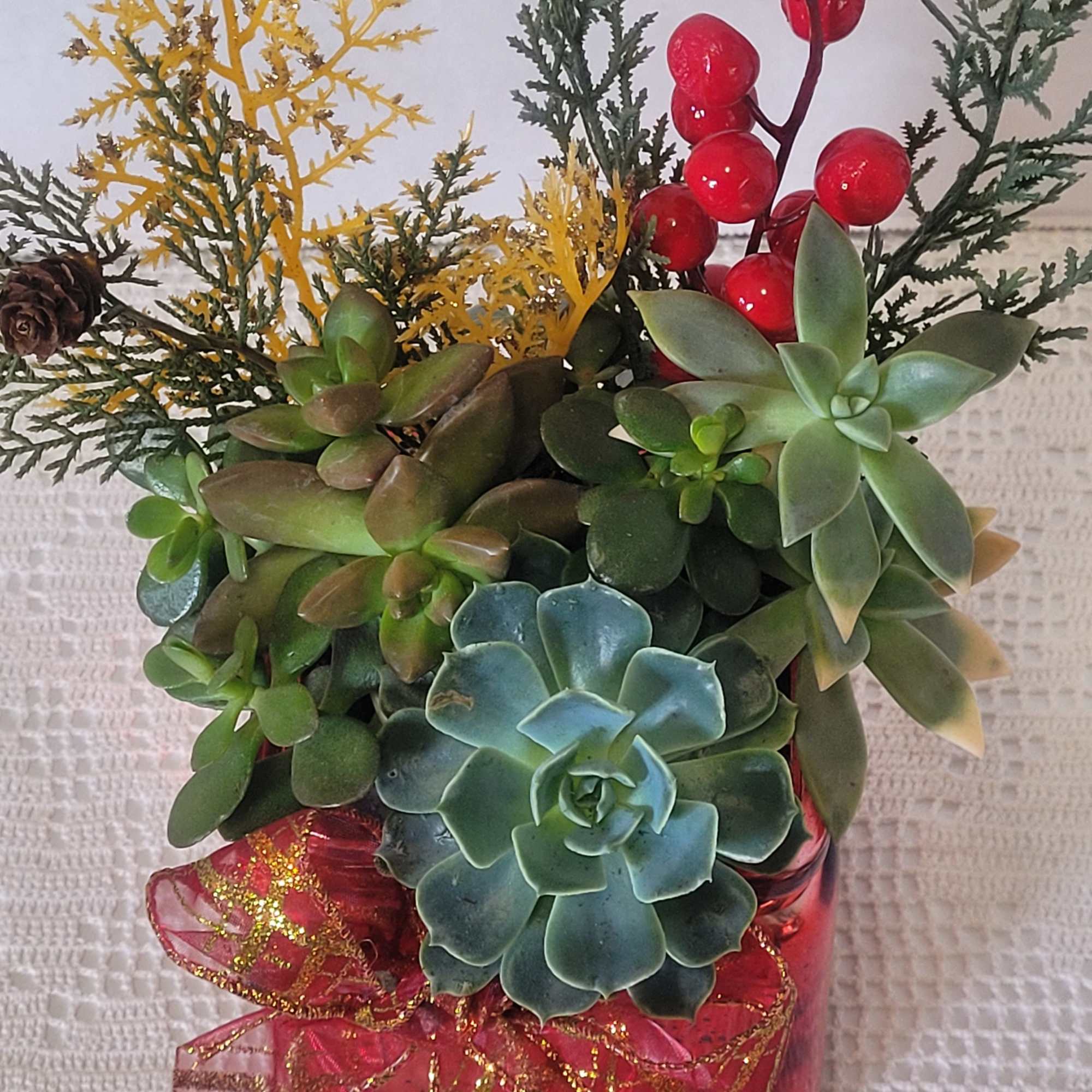 A mix of hardy succulents with festive holiday embellishments in a sparkly