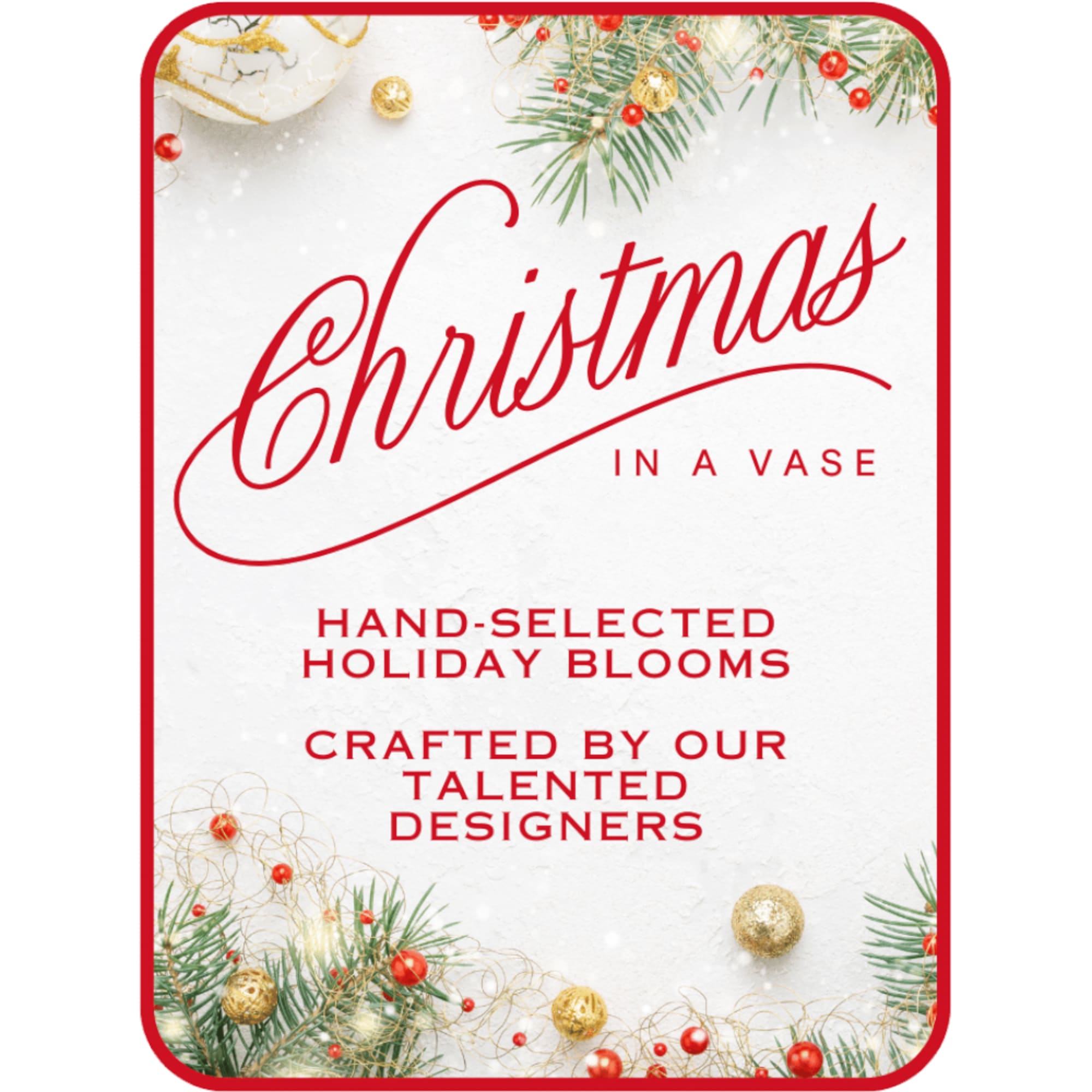 Let our expert florists work their magic with the Designer&#039;s Choice Christmas