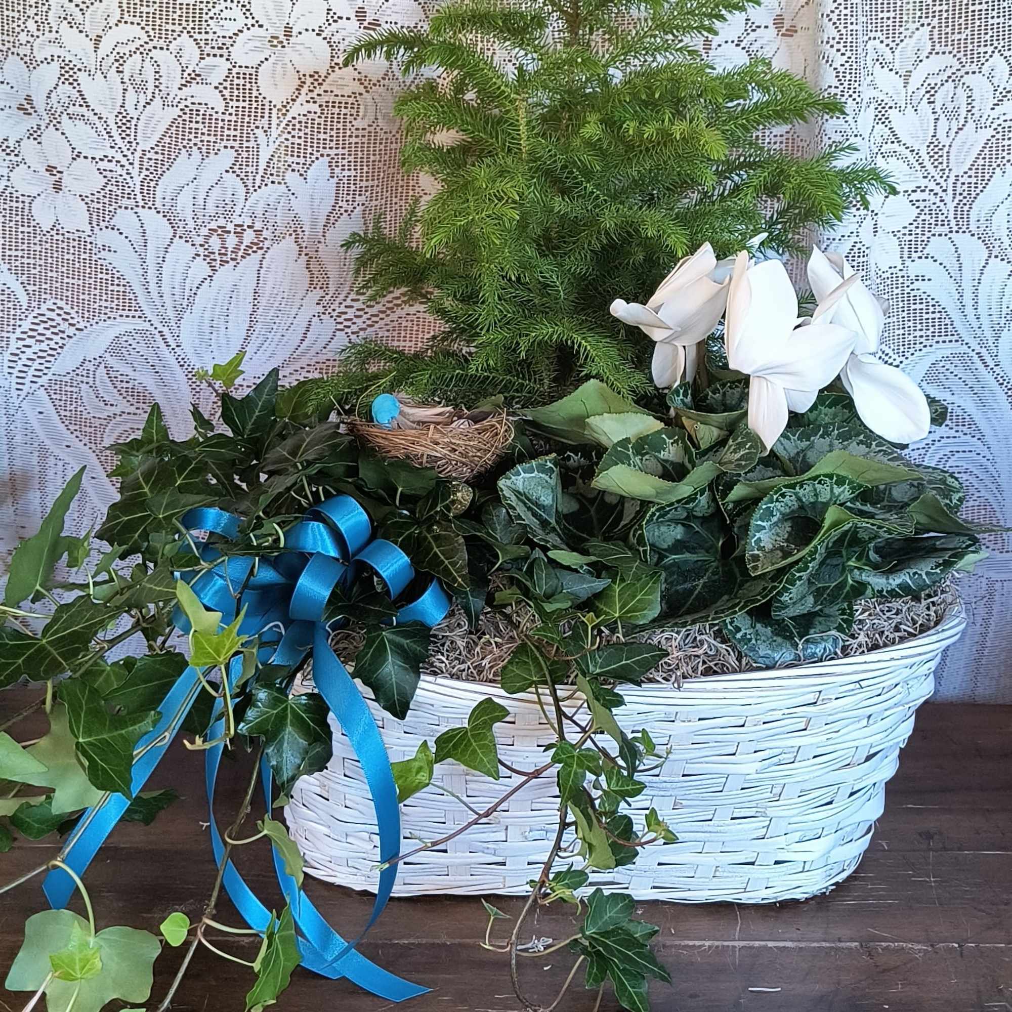 The best of both worlds, green and blooming plants in one basket