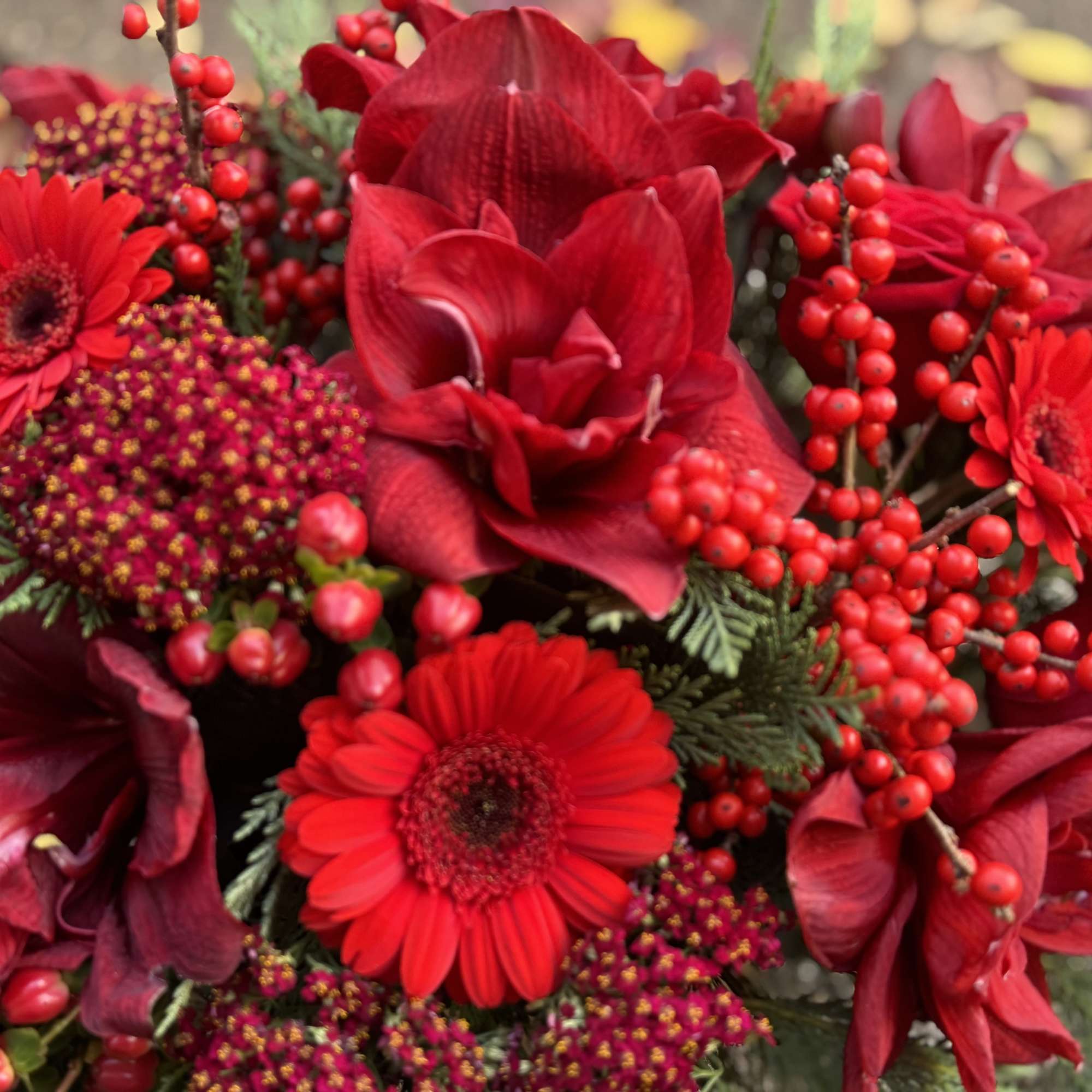 Collection of festive red blooms &amp; berries to celebrate brightness after the