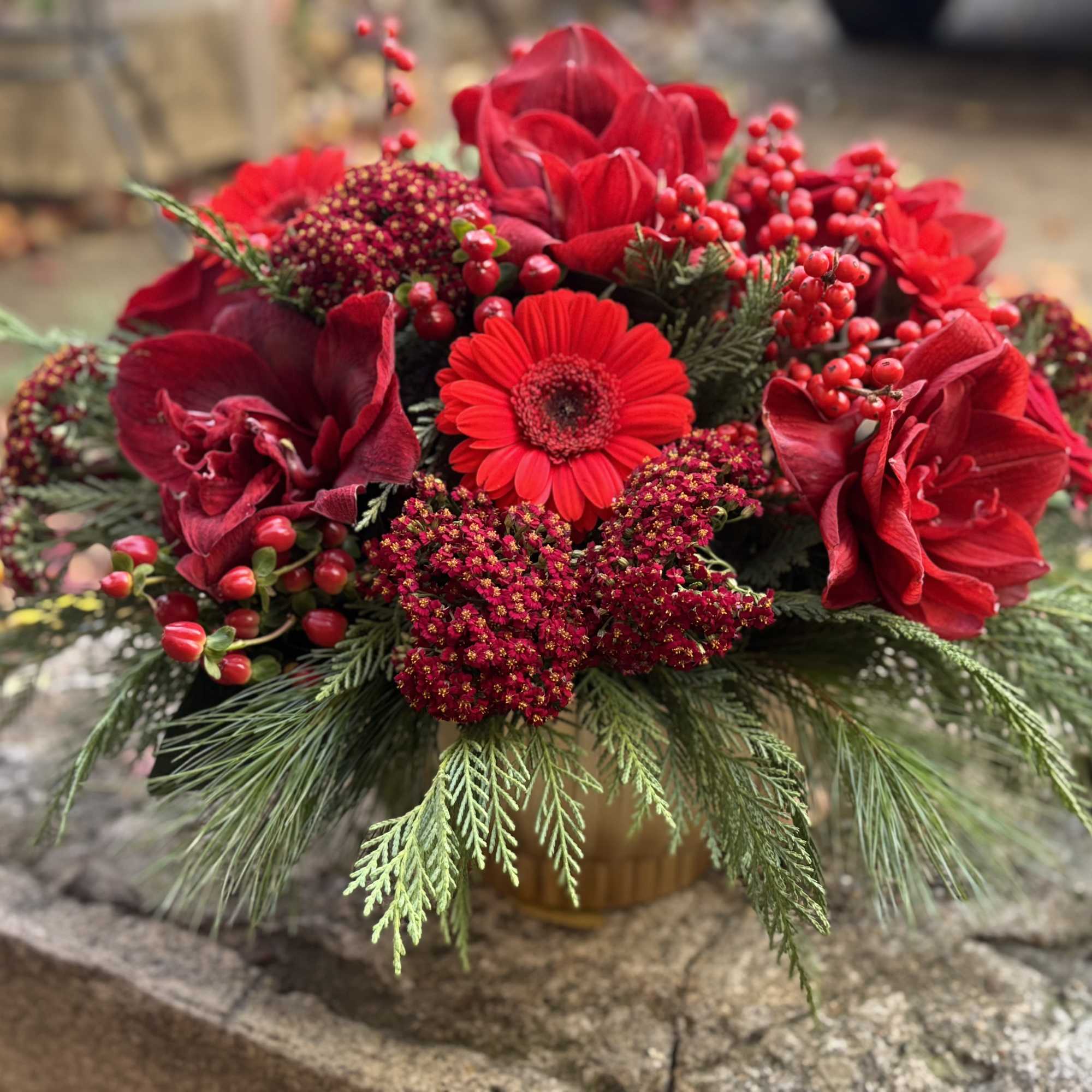 Collection of festive red blooms &amp; berries to celebrate brightness after the