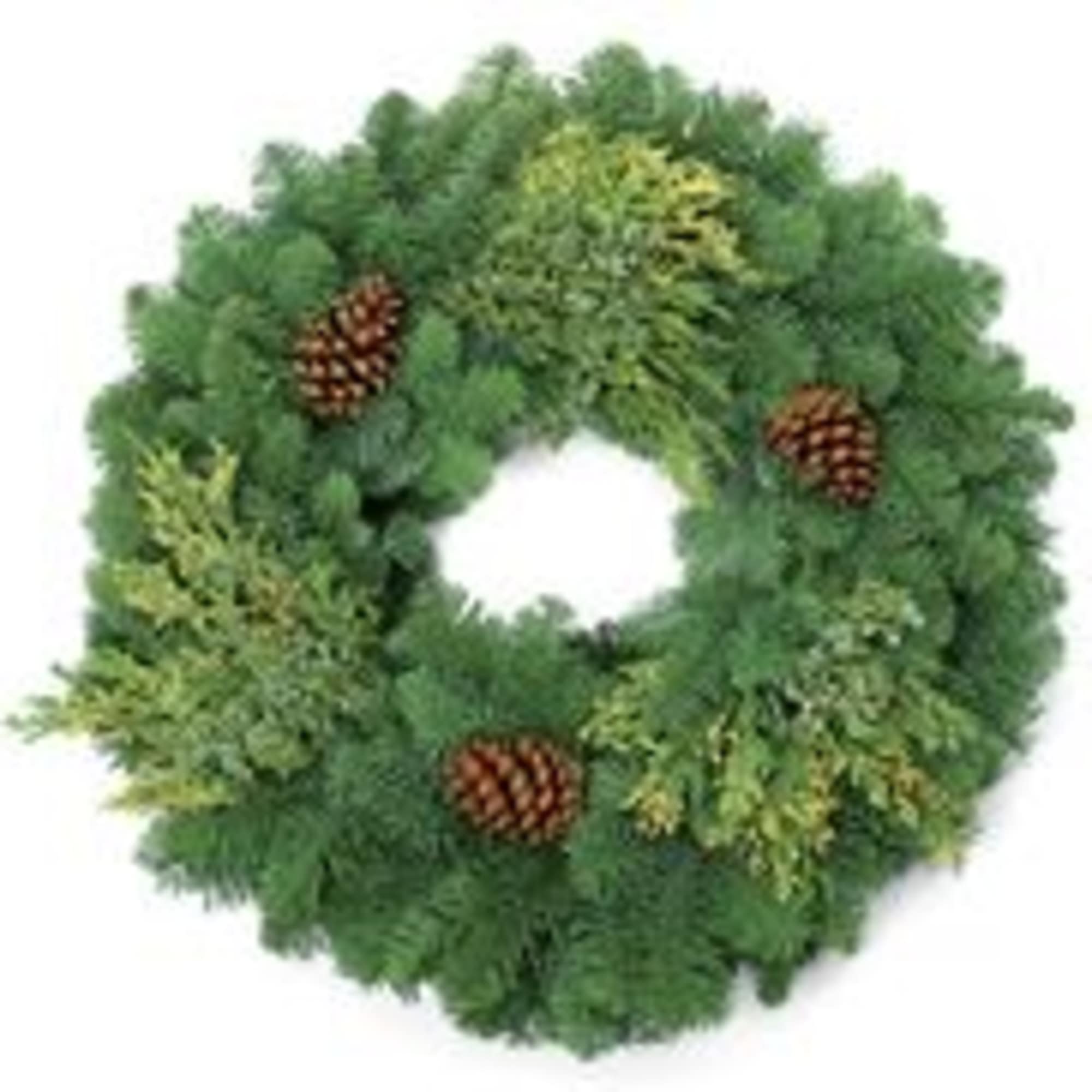 26&quot; mixed evergreen wreath ready to be hung with care! 