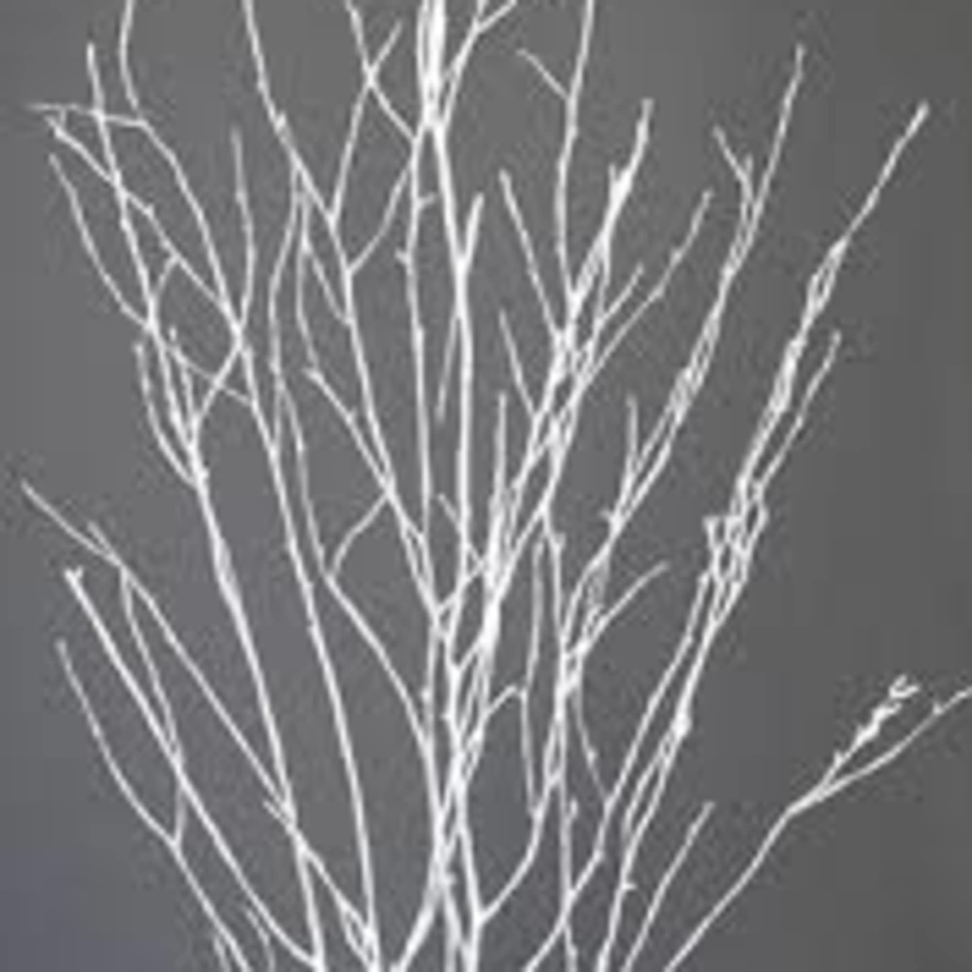 10-inch red poinsettia, 30" tall, 4 stemmed in a basket with bow.