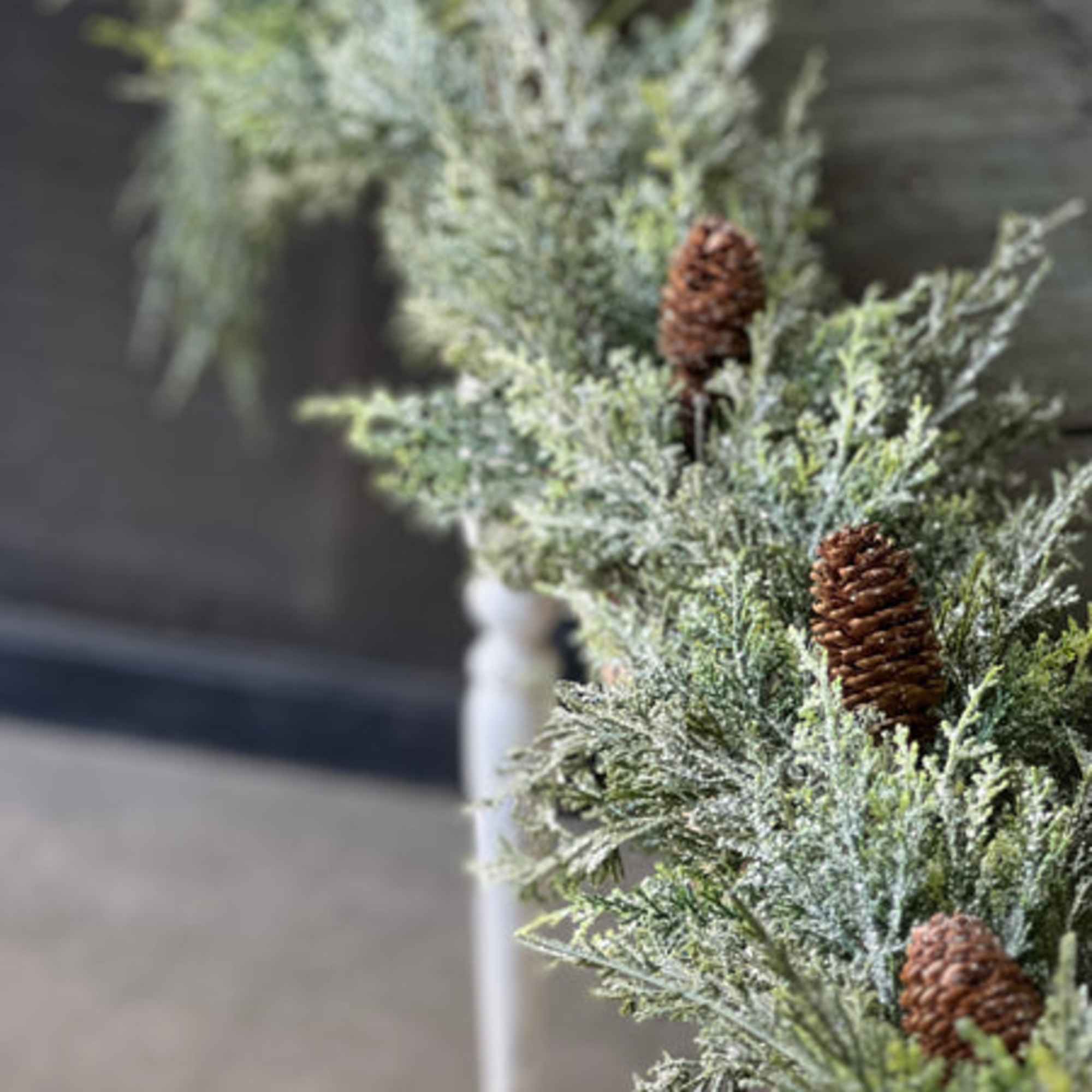 Beautiful and unique, the Silver Thread Cedar is not one to be