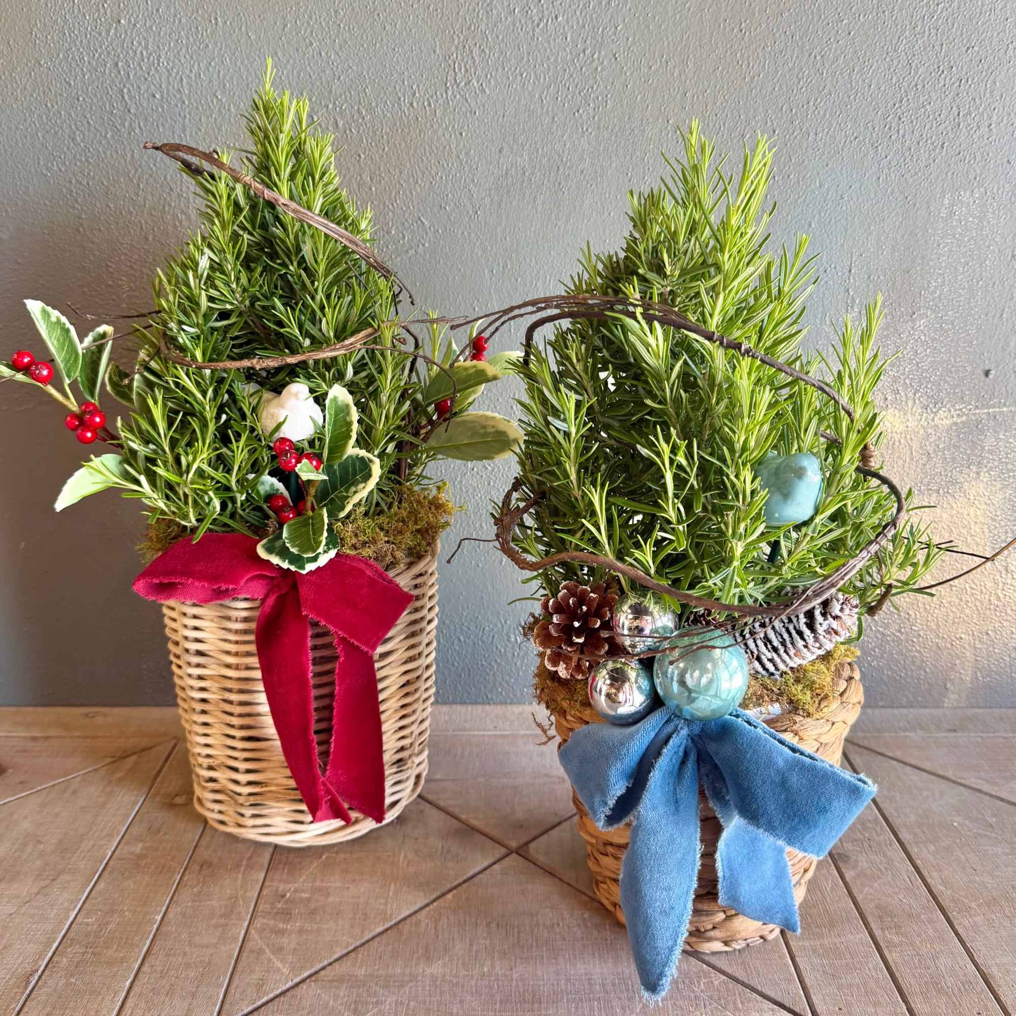 These live plant rosemary trees are a sweet holiday touch. Each tree